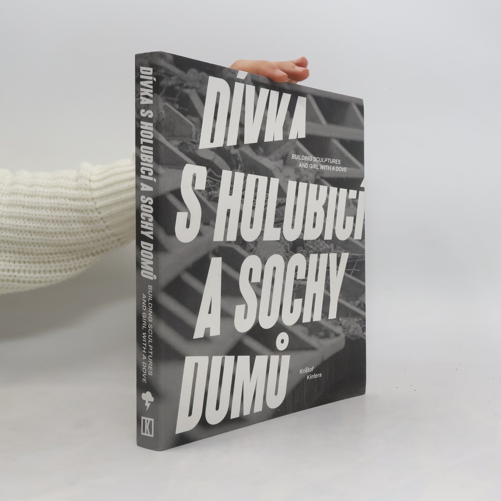 Dívka s holubicí a sochy domů