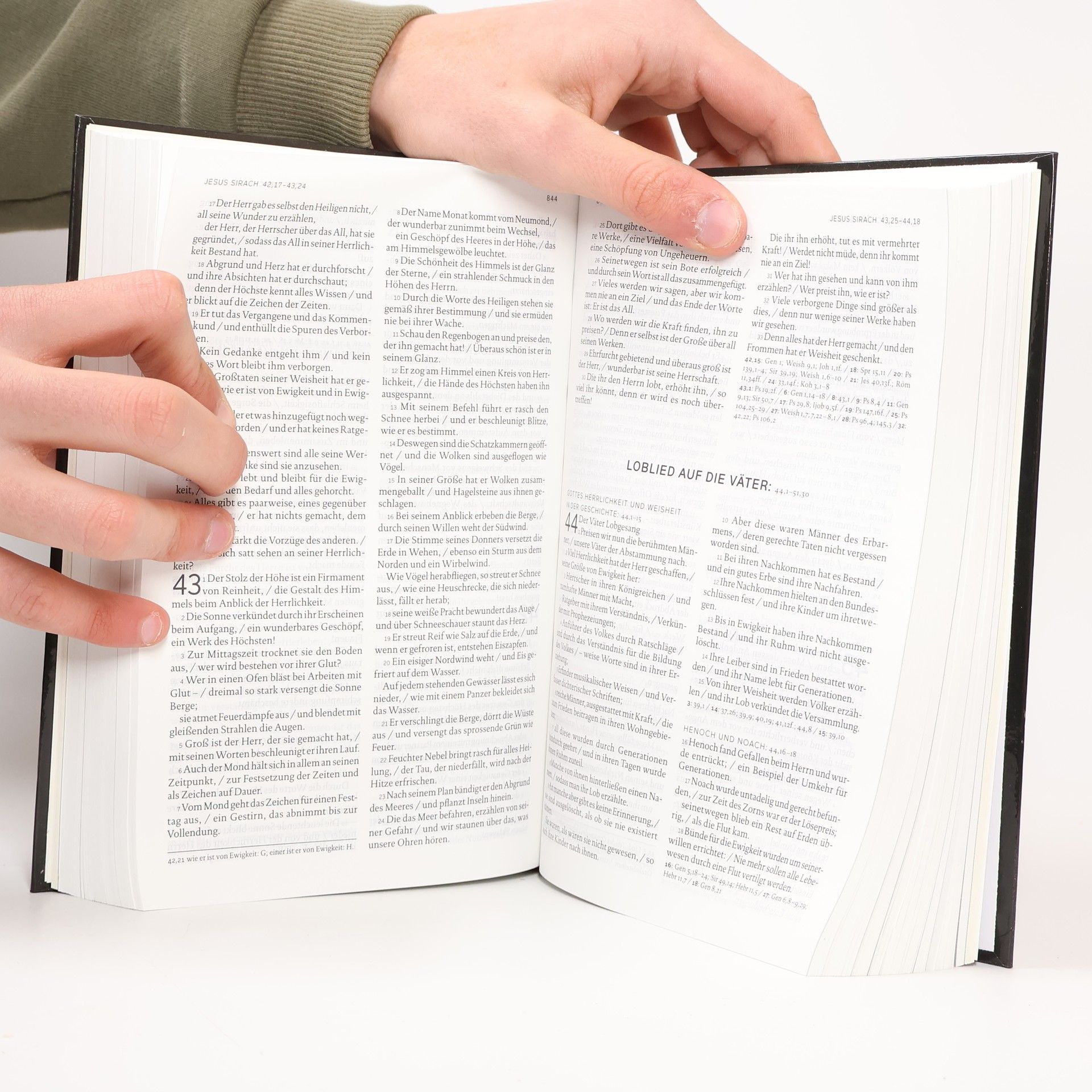 Die Bibel