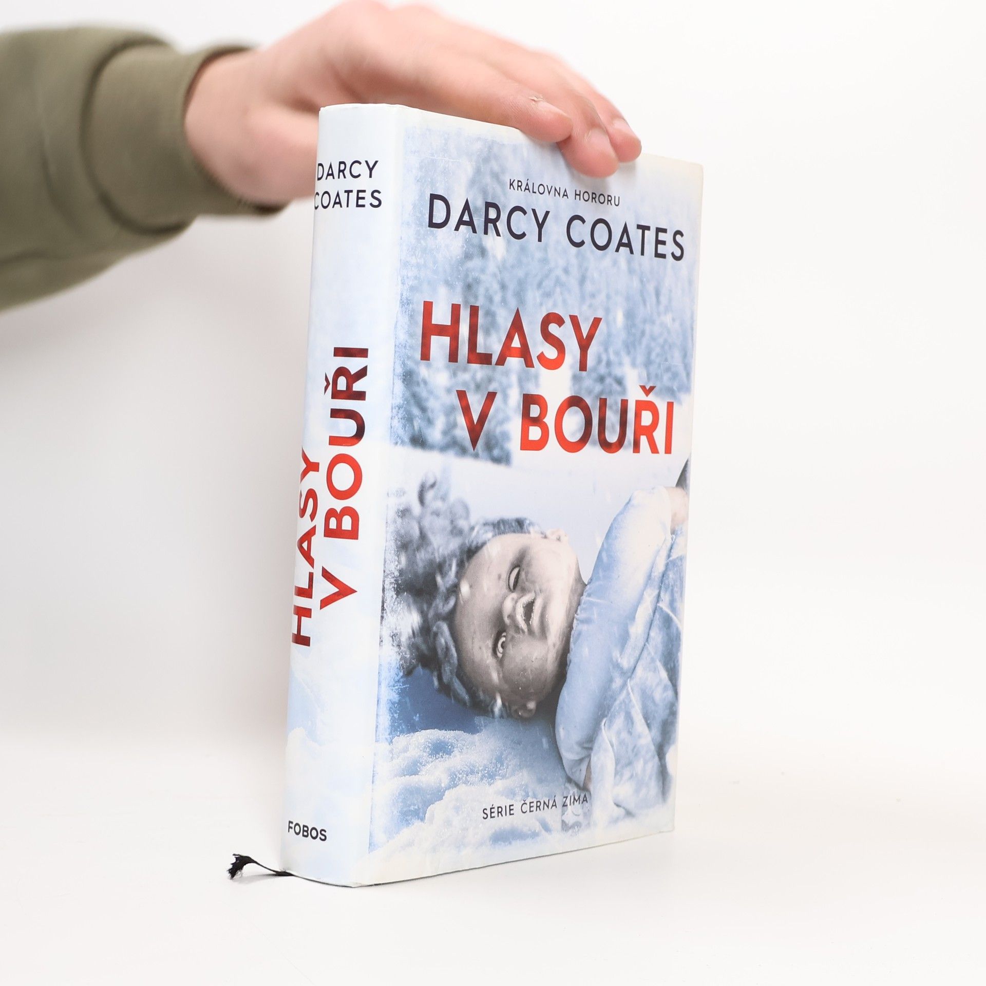 Darcy Coates Hlasy v bouři