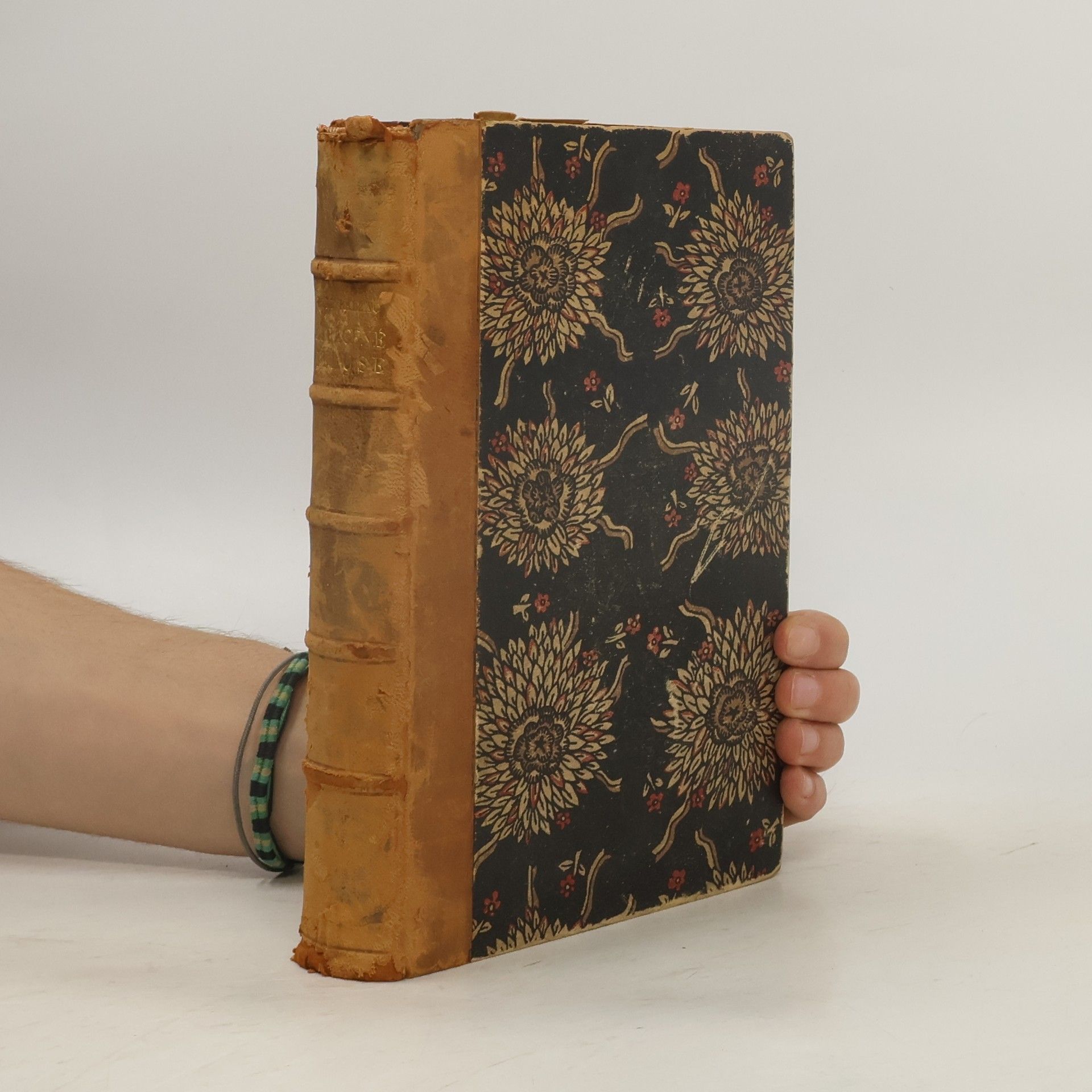 Honoré de Balzac Ztracené illuse