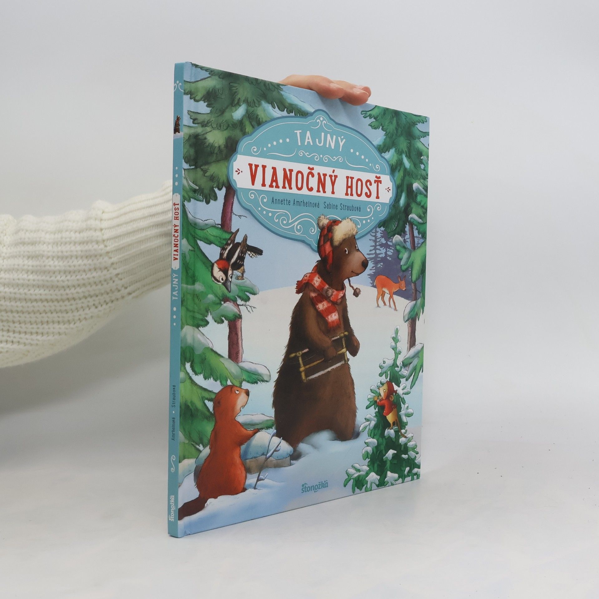 Annette Amrhein Tajný vianočný hosť