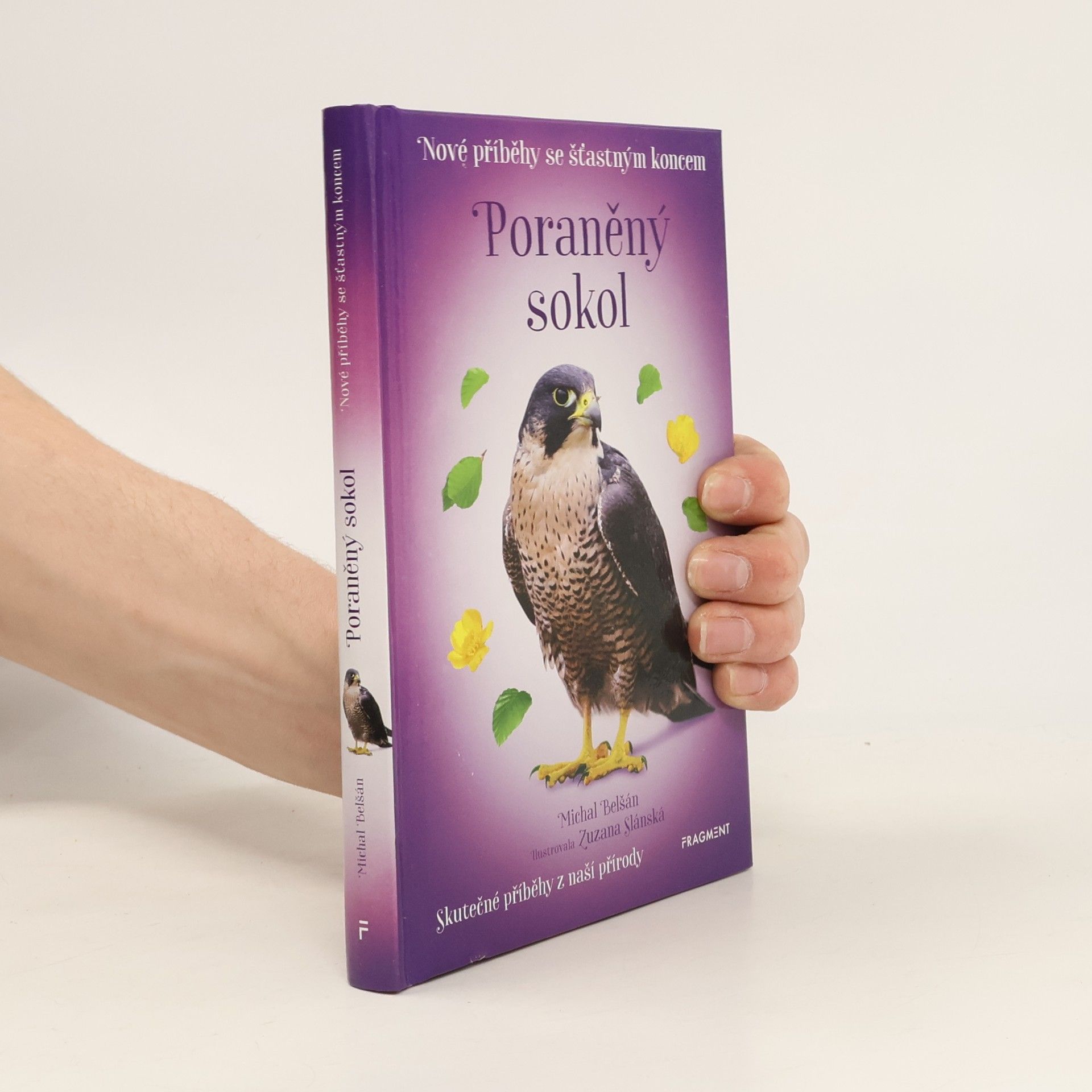 Michal Belšán Poraněný sokol