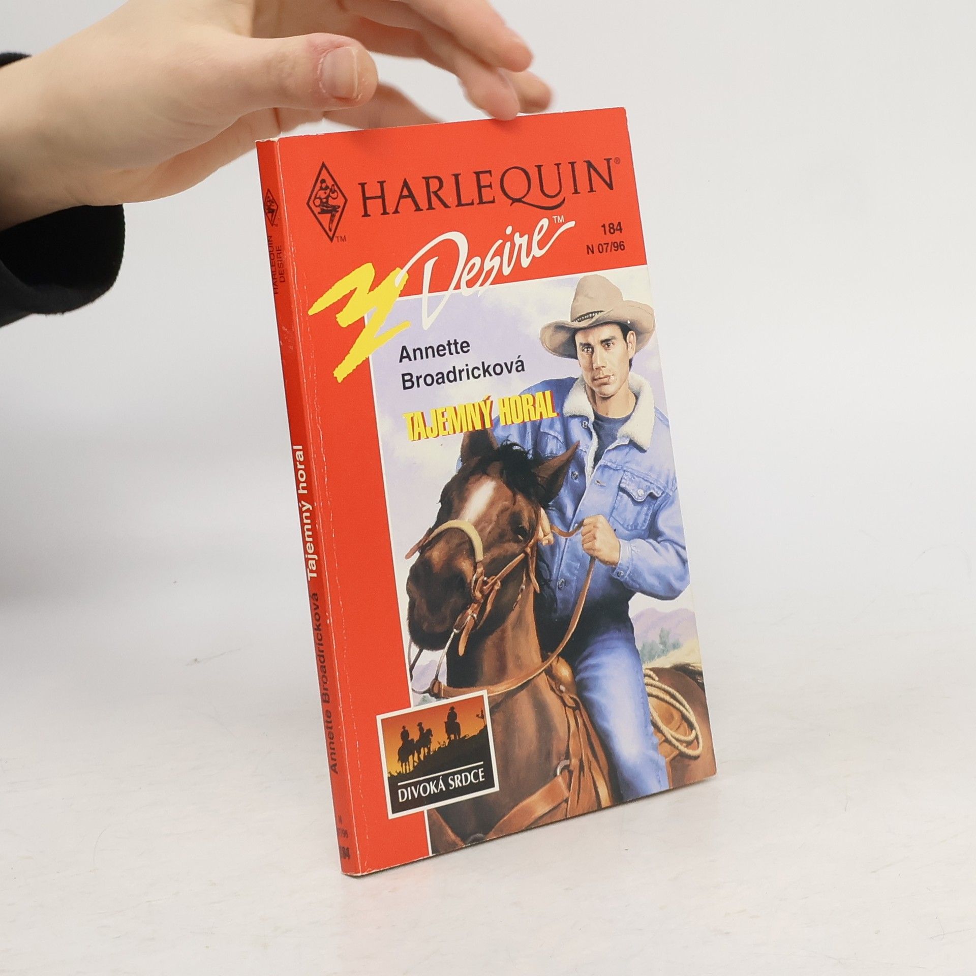 Annette Broadrick Tajemný horal