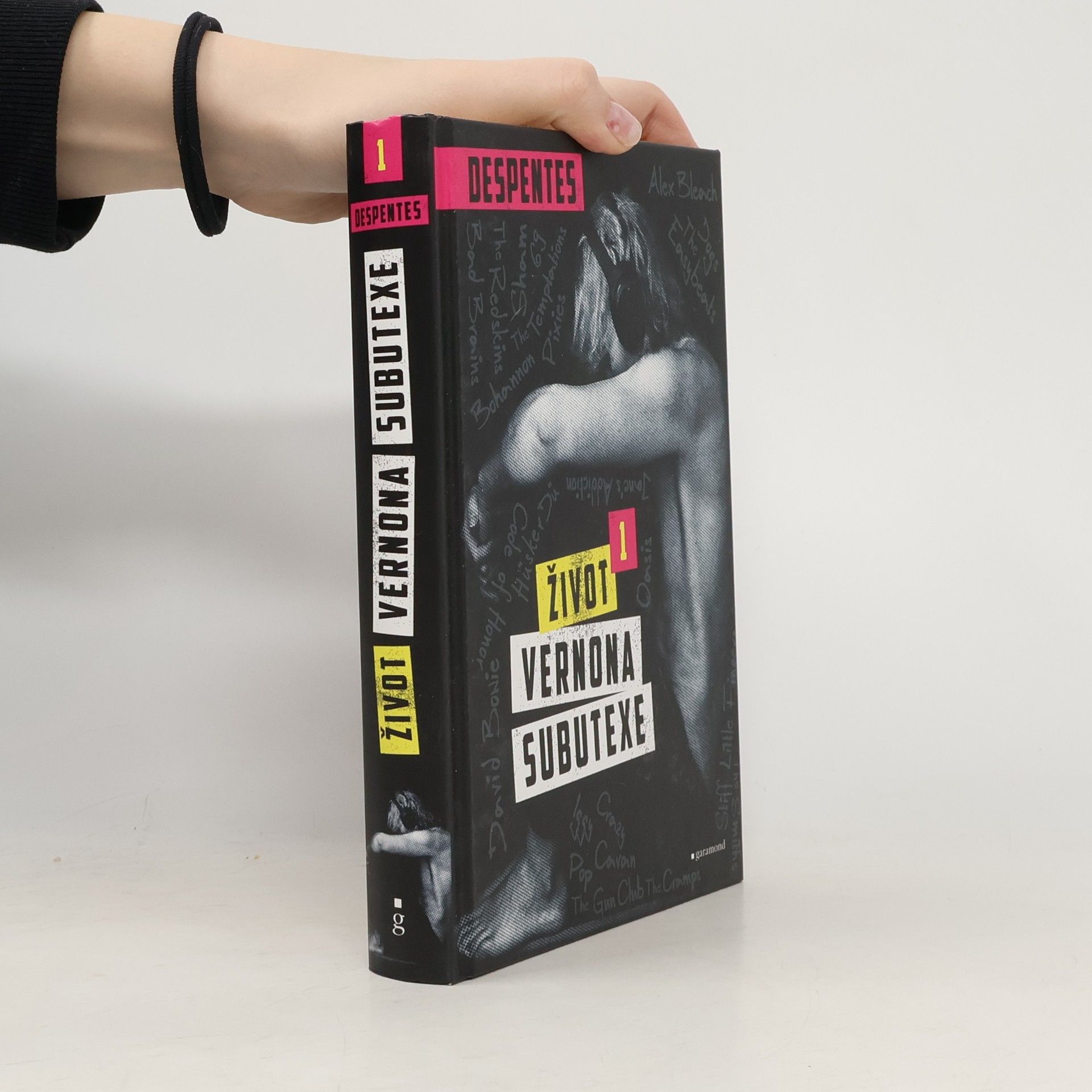 Virginie Despentes Život Vernona Subutexe. Díl 1.