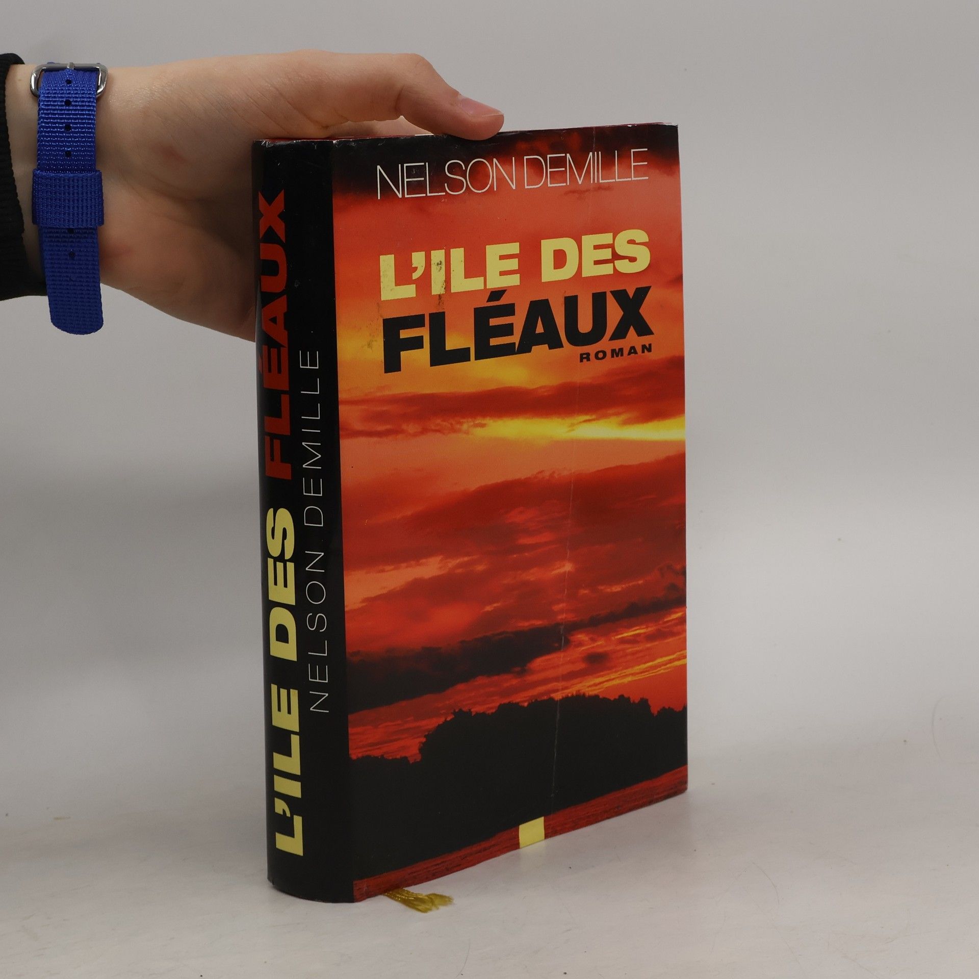 Nelson DeMille L'île des fléaux