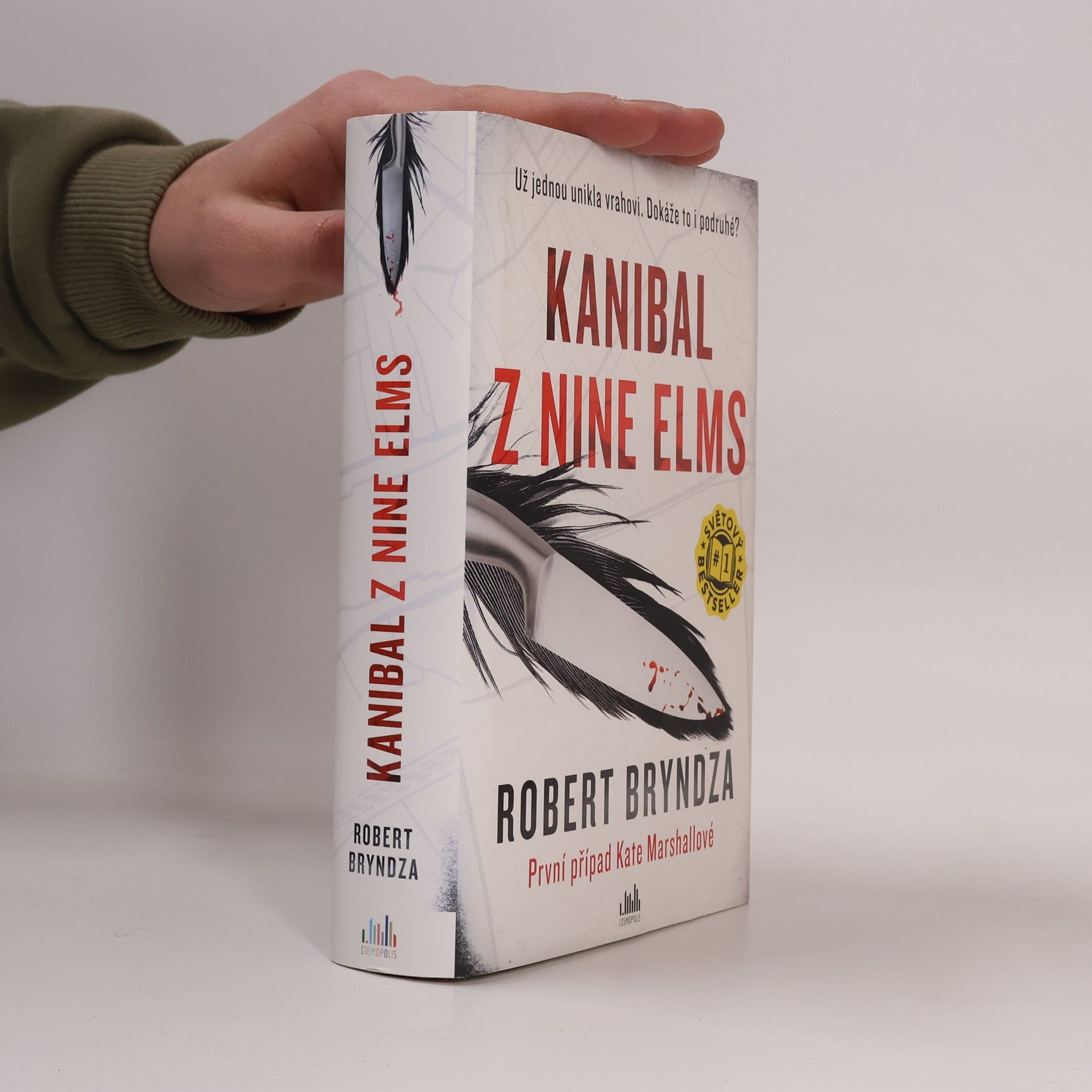 Robert Bryndza Kanibal z Nine Elms