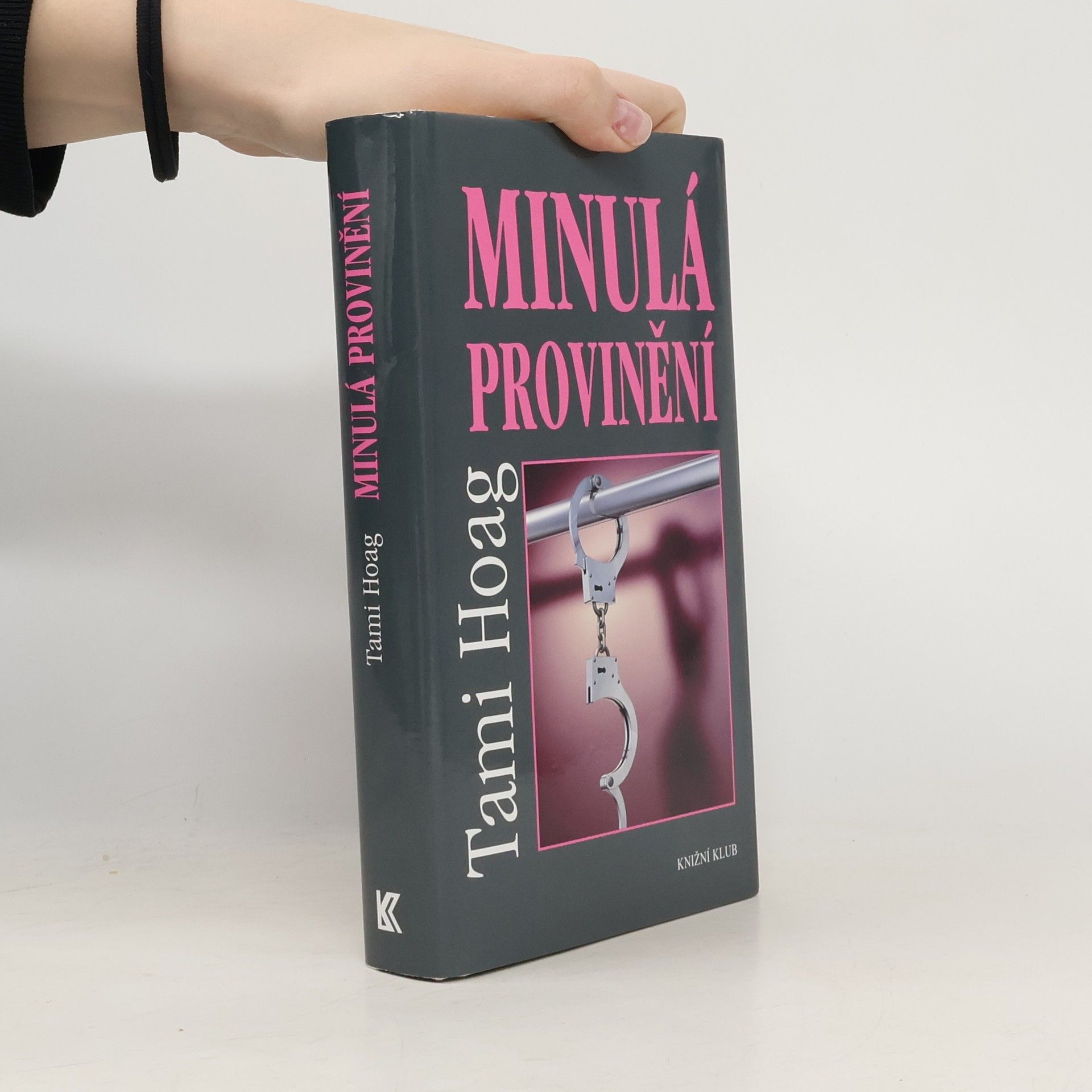 Tami Hoag Minulá provinění