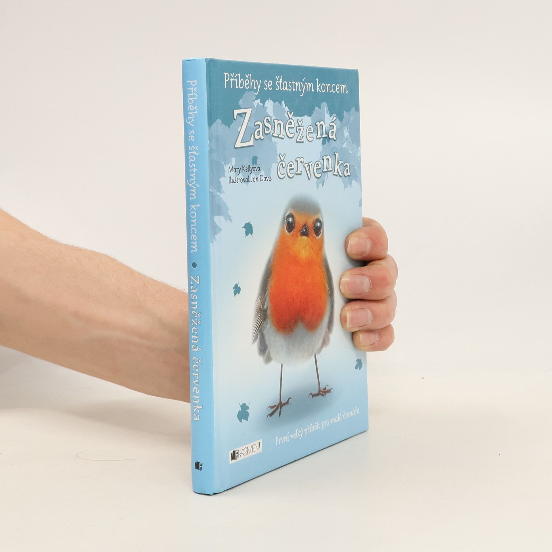 Mary Kelly Zasněžená červenka