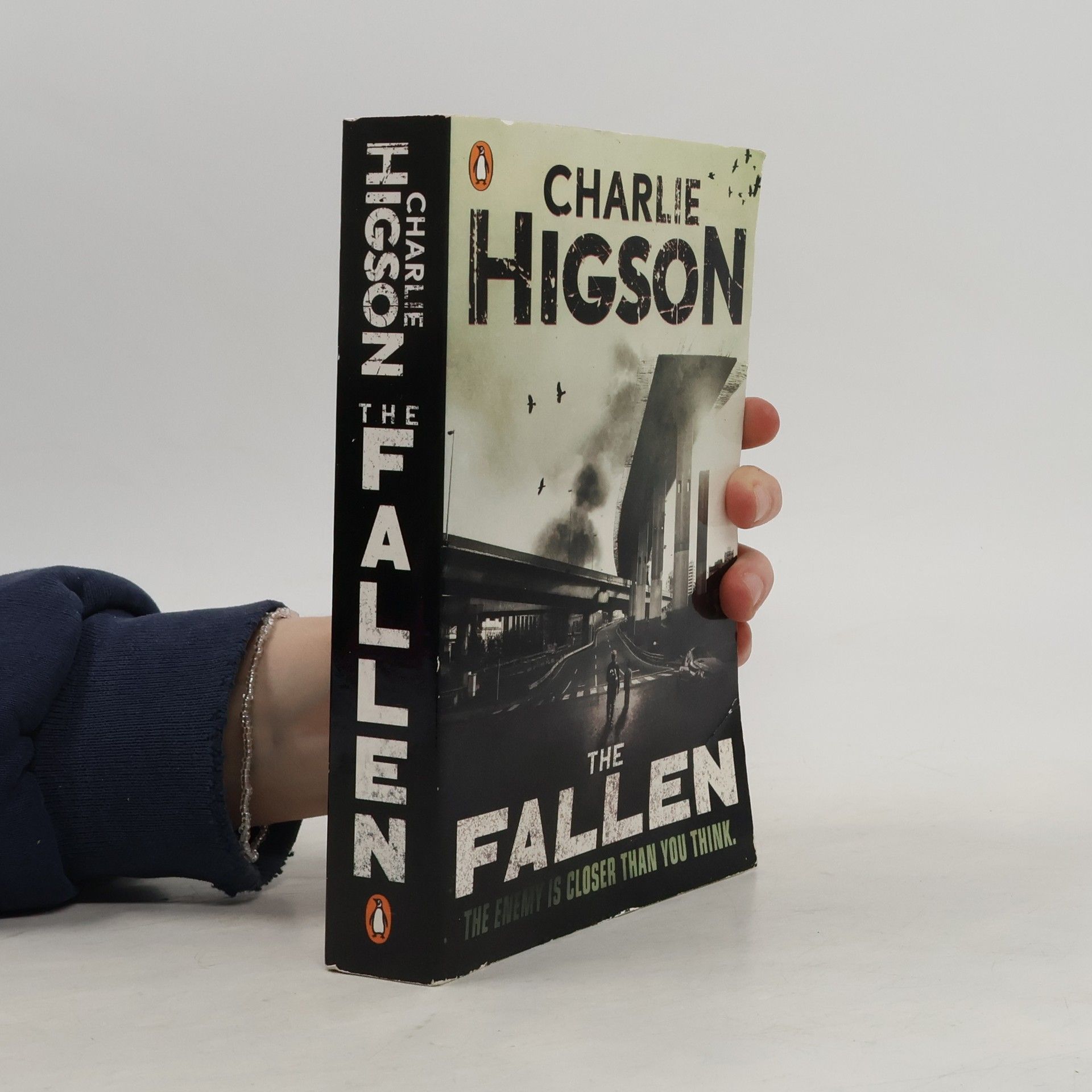 Charlie Higson The fallen