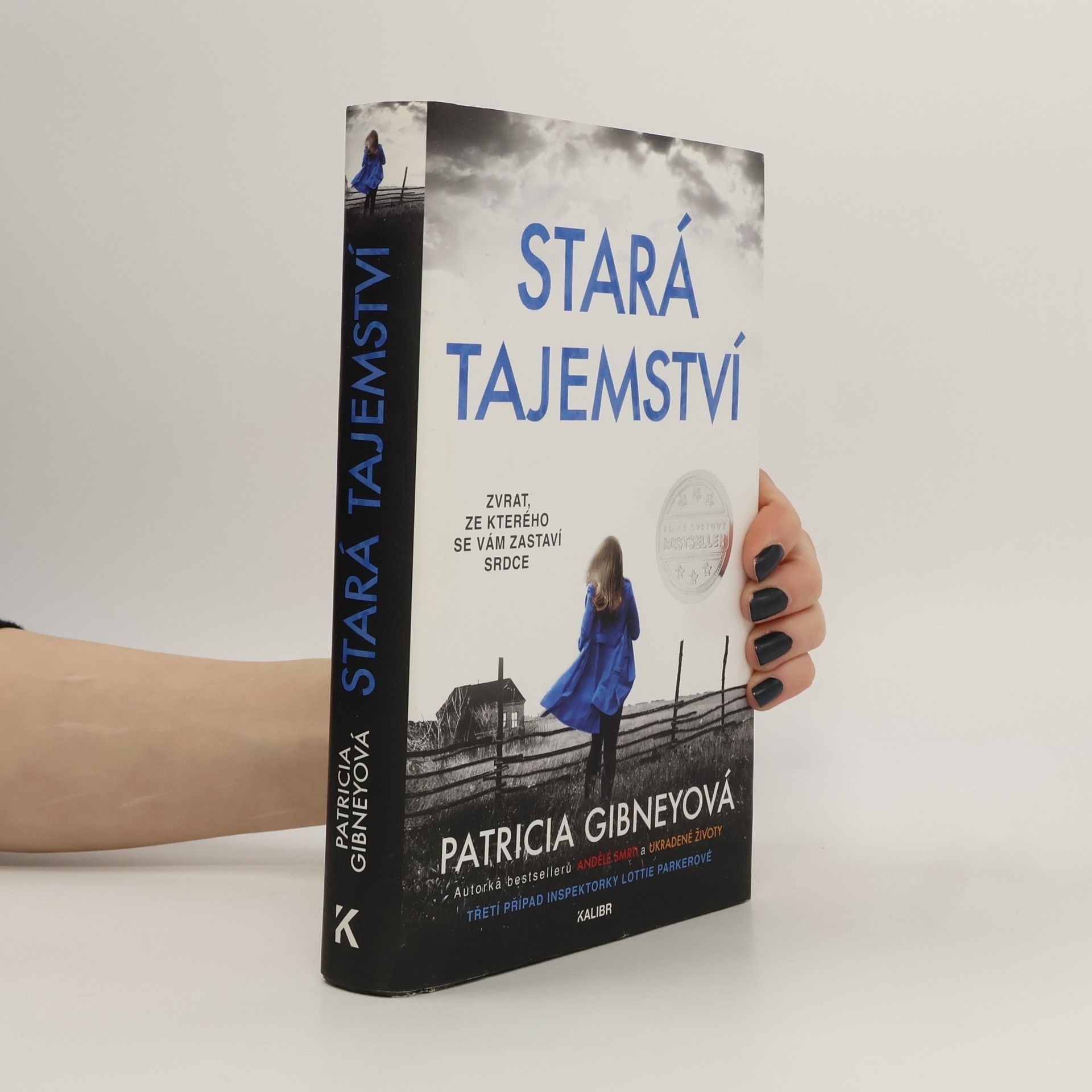 Patricia Gibney Stará tajemství