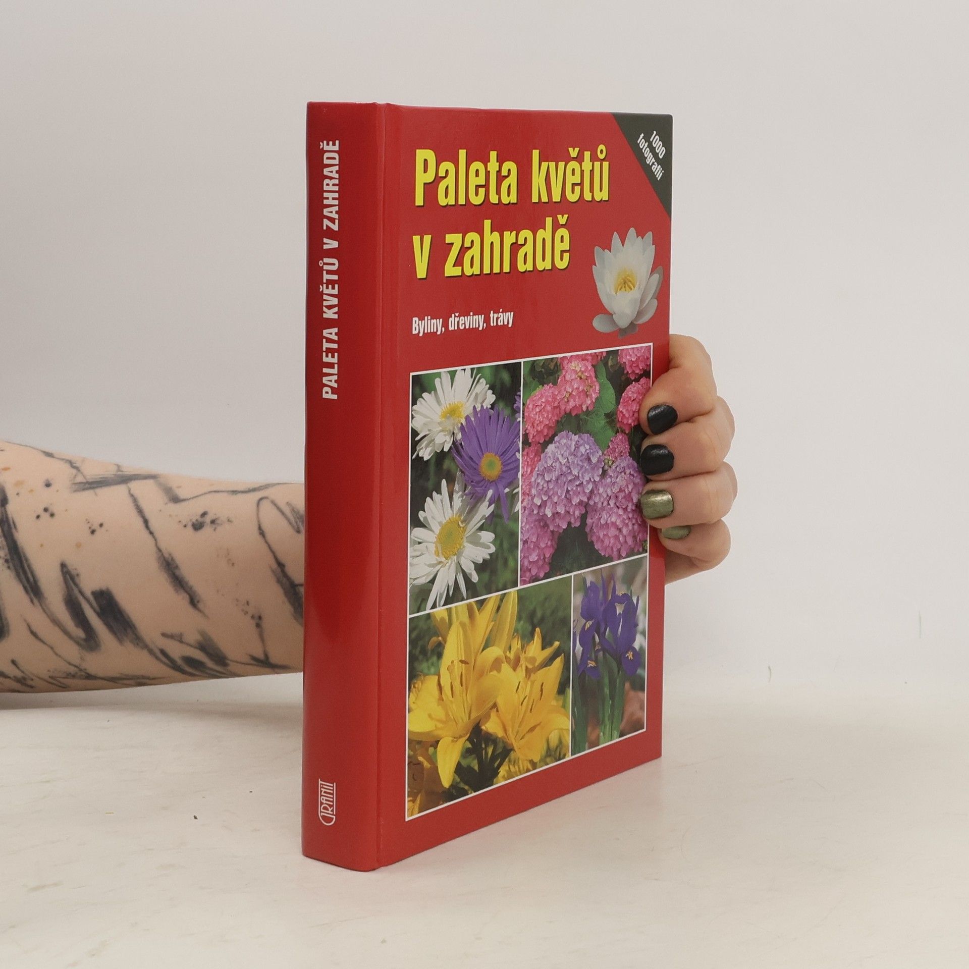 Angelika Throll Paleta květů v zahradě - Byliny, dřeviny, trávy