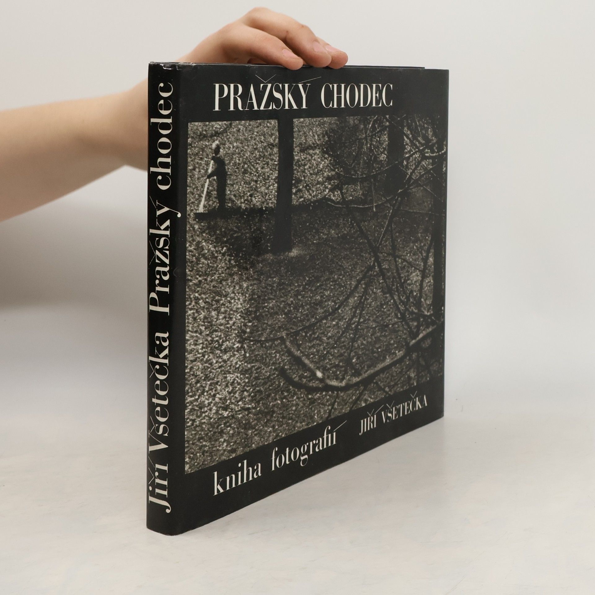 Jiří Všetečka Pražský chodec