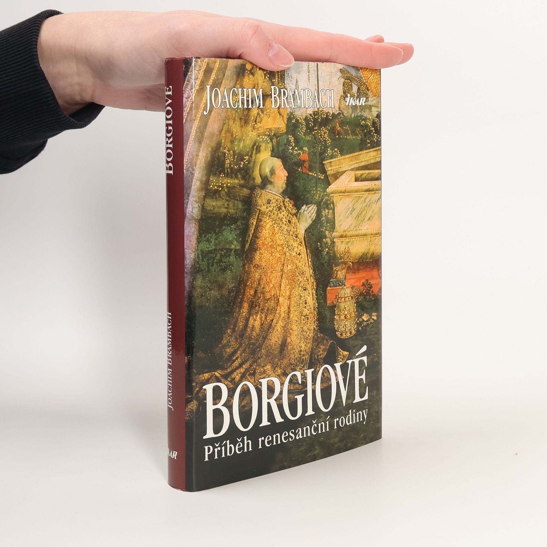Joachim Brambach Borgiové : příběh renesanční rodiny