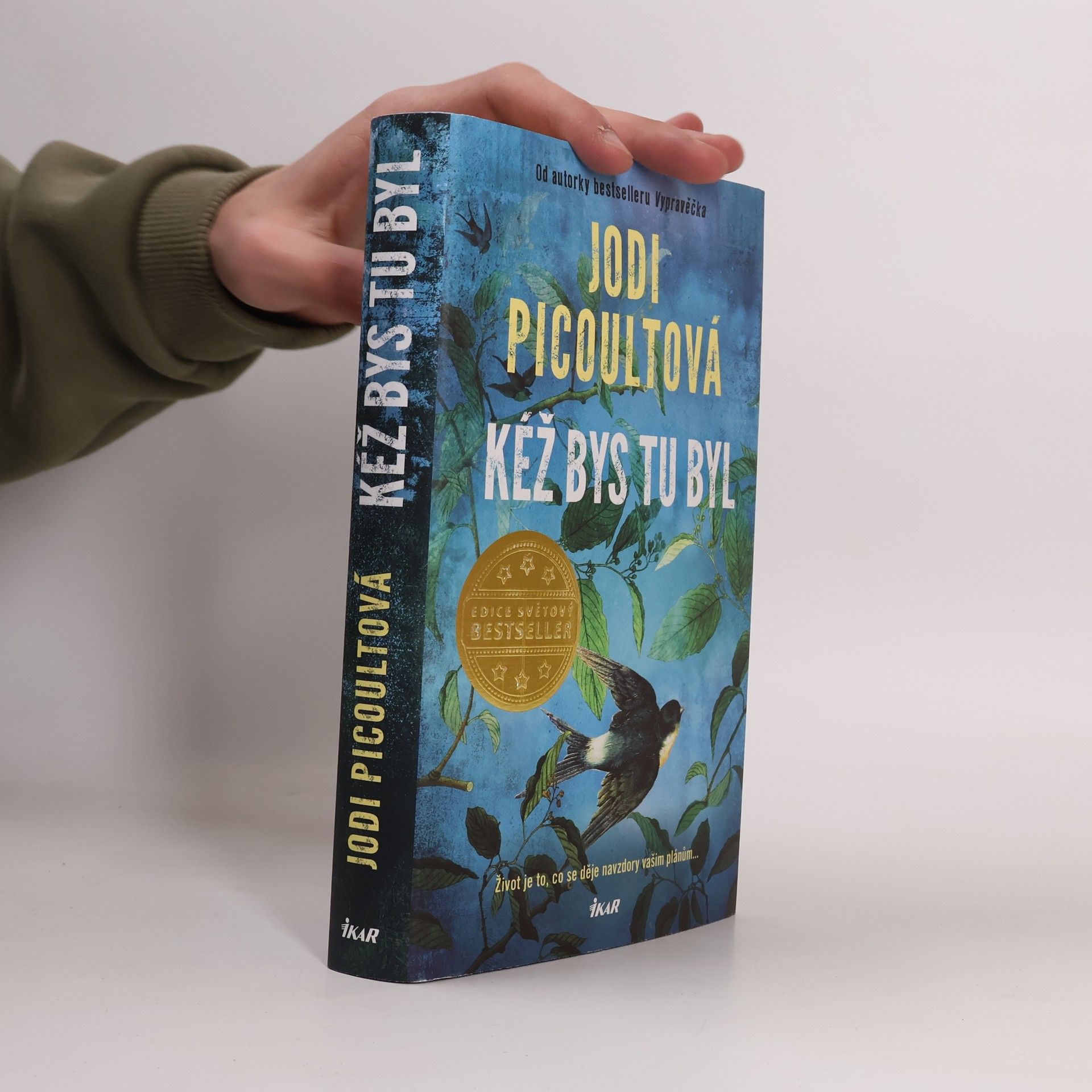 Marcela Nejedlá Kéž bys tu byl