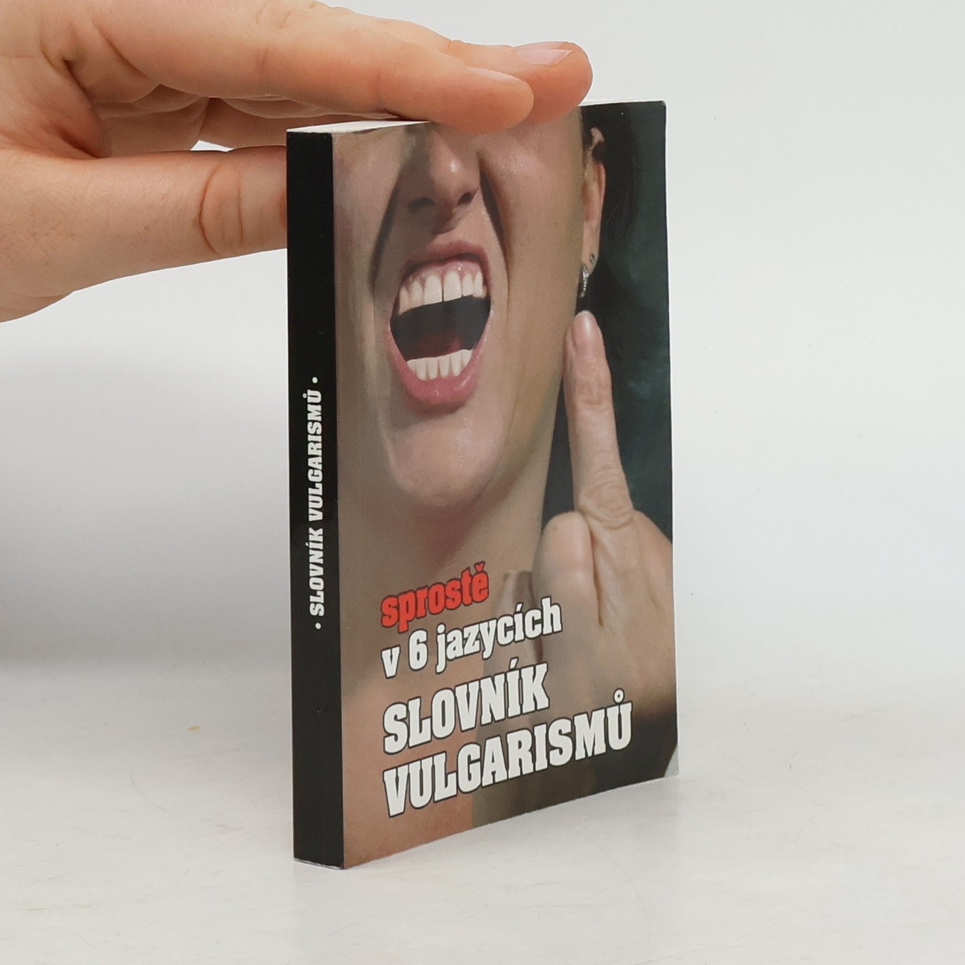 Kryštof Bajger Slovník vulgarismů : sprostě v 6 jazycích