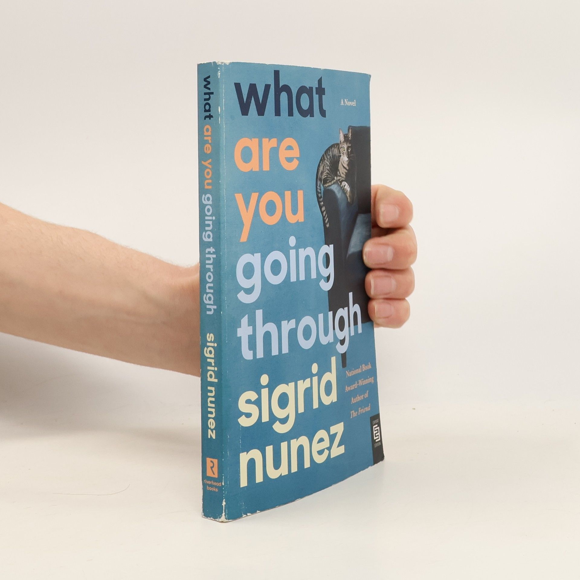 Sigrid Nunez What Are You Going Through