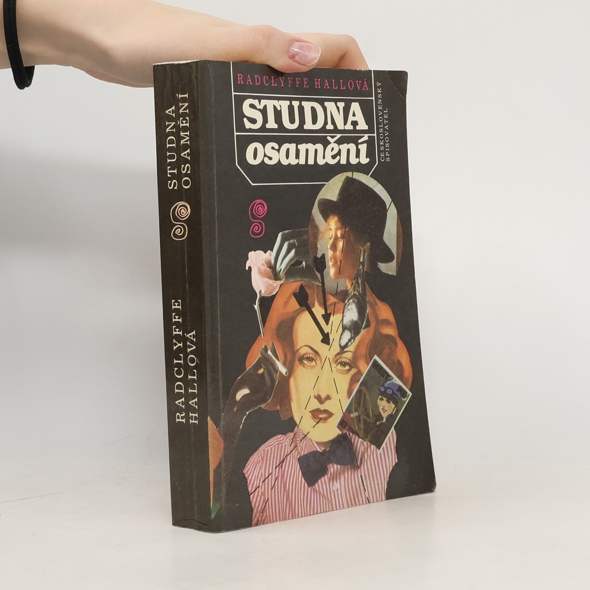 Radclyffe Hall Studna osamění