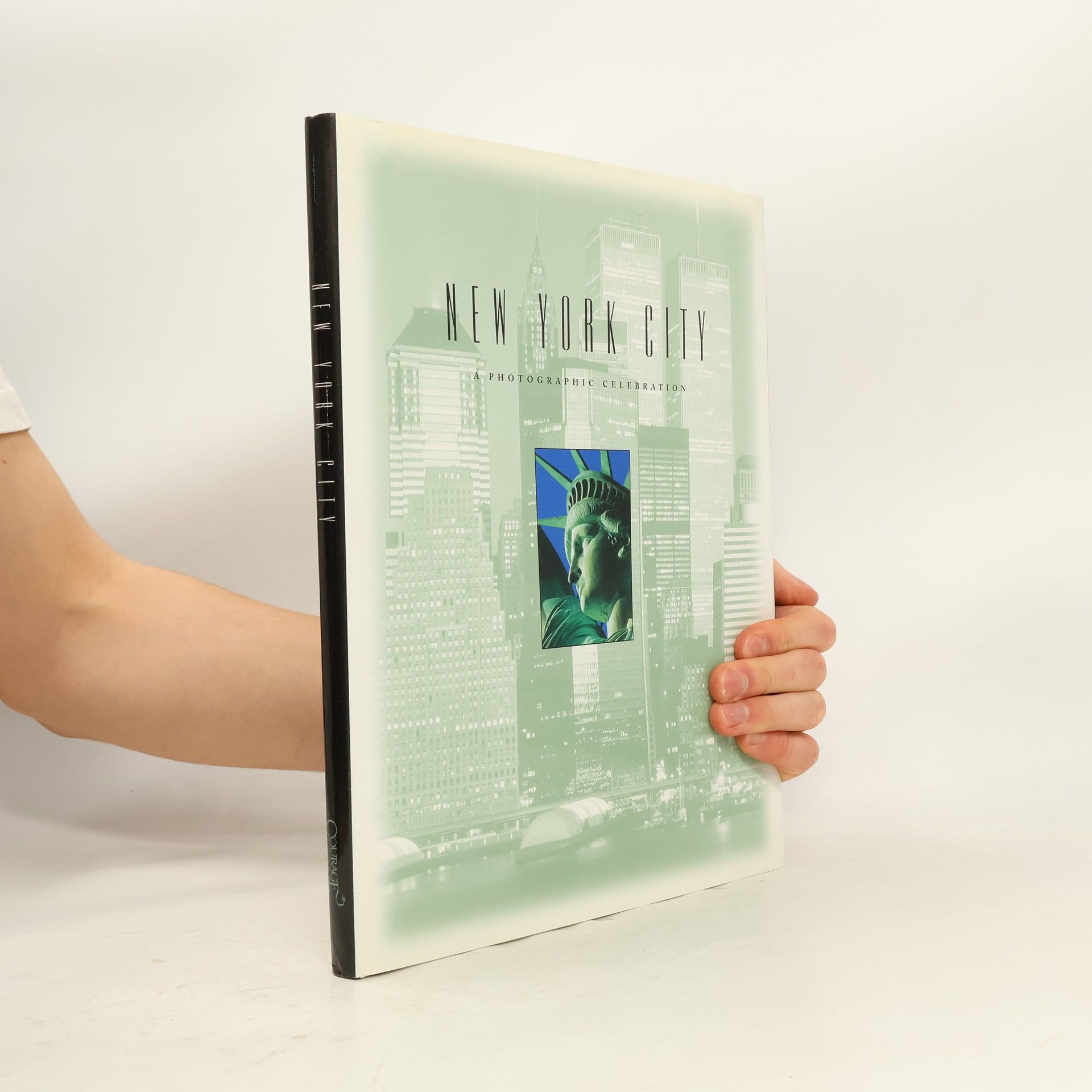 Kolektív autorov New York City