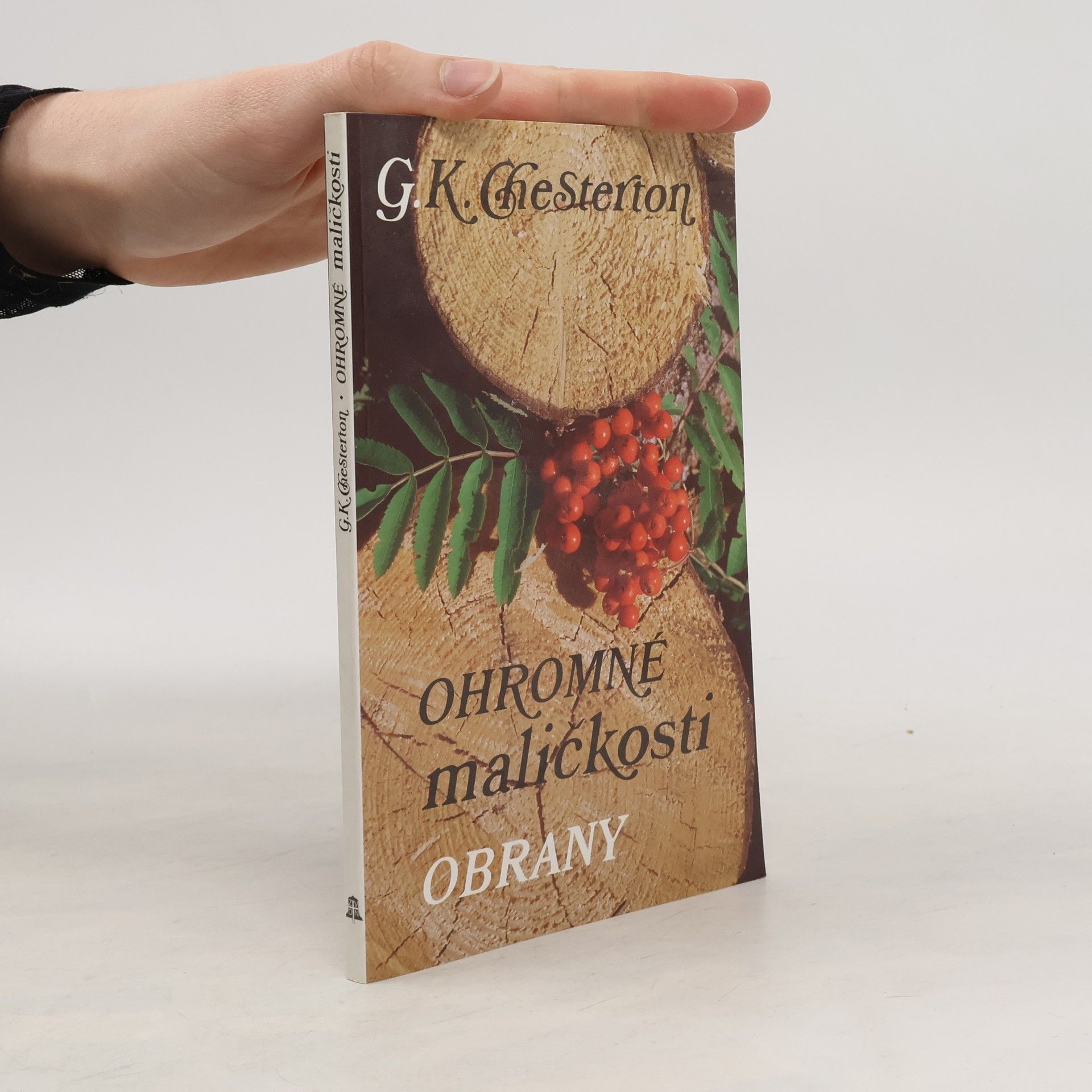 Jan Čulík Ohromné maličkosti