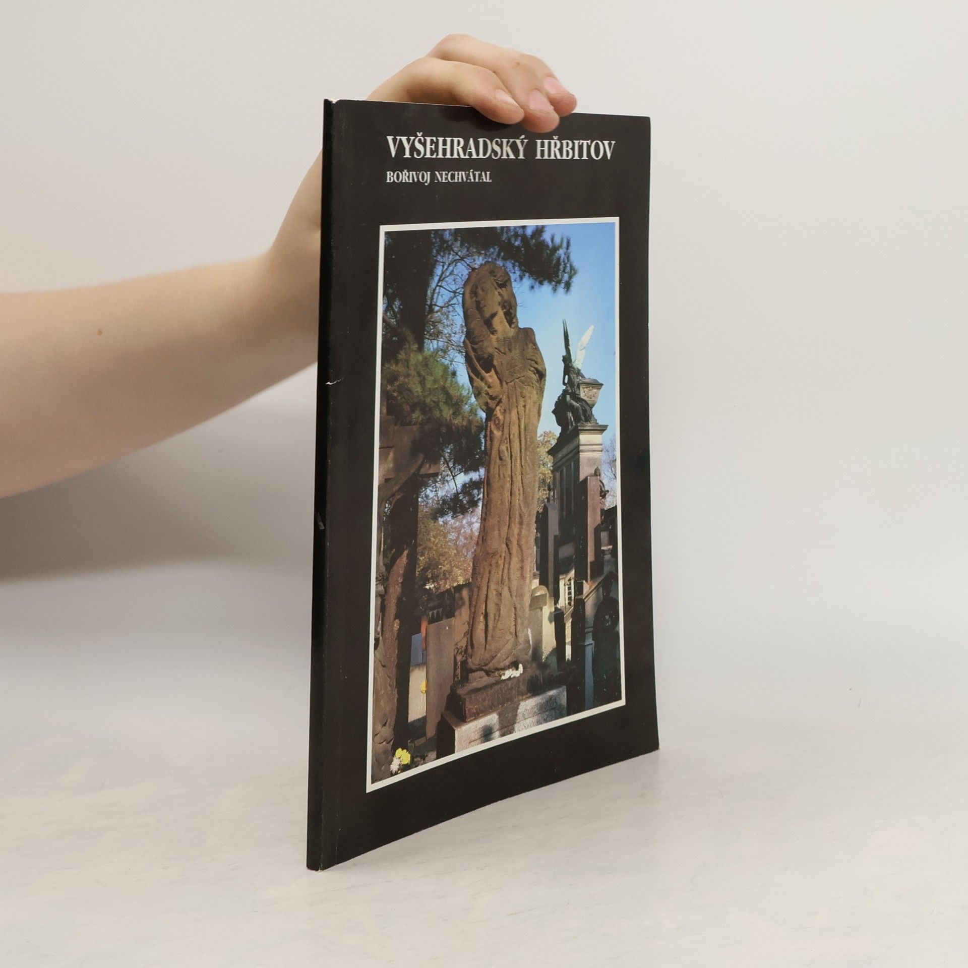 Bořivoj Nechvátal Vyšehradský hřbitov