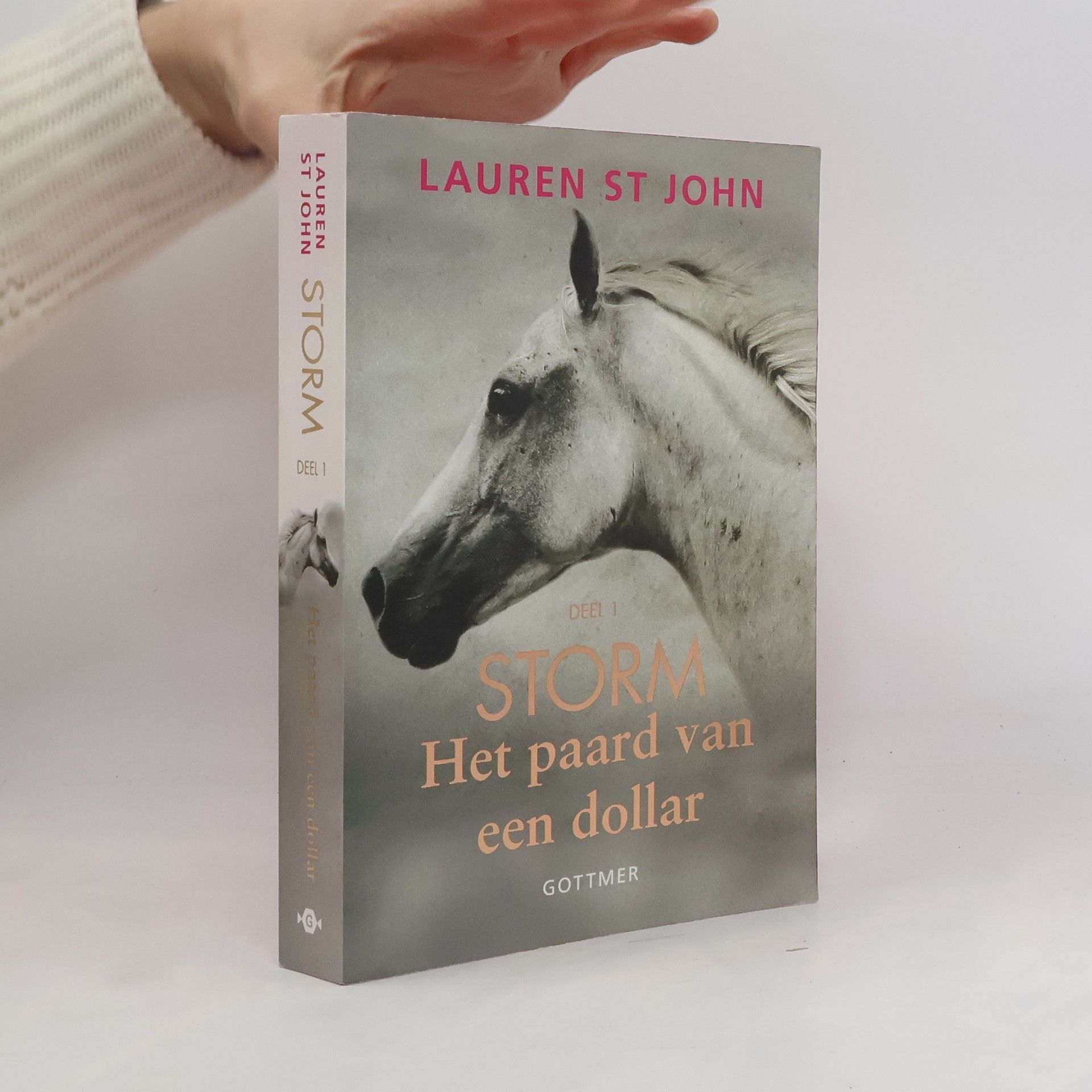 Hanneke Majoor Het paard van een dollar