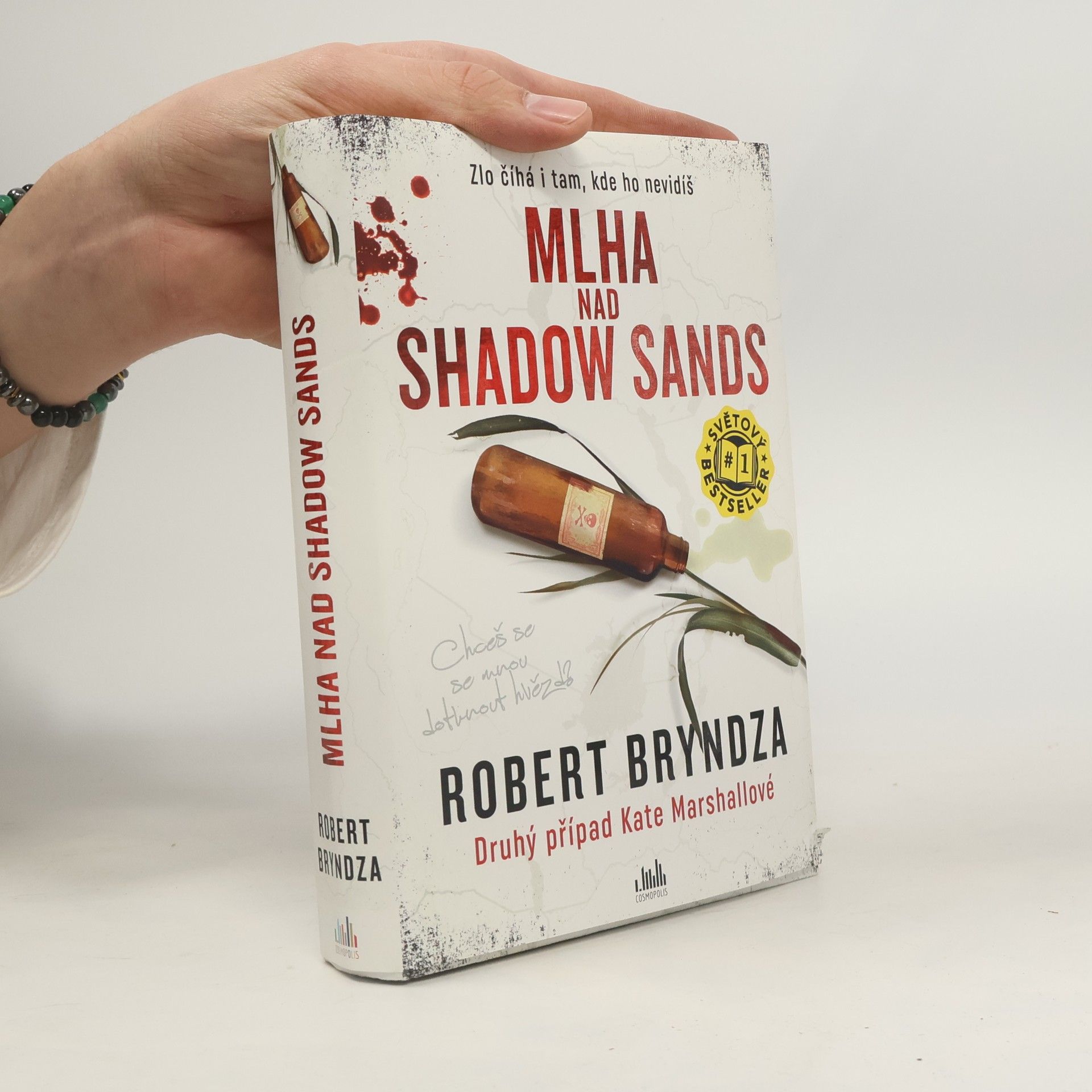 Robert Bryndza Mlha nad Shadow Sands