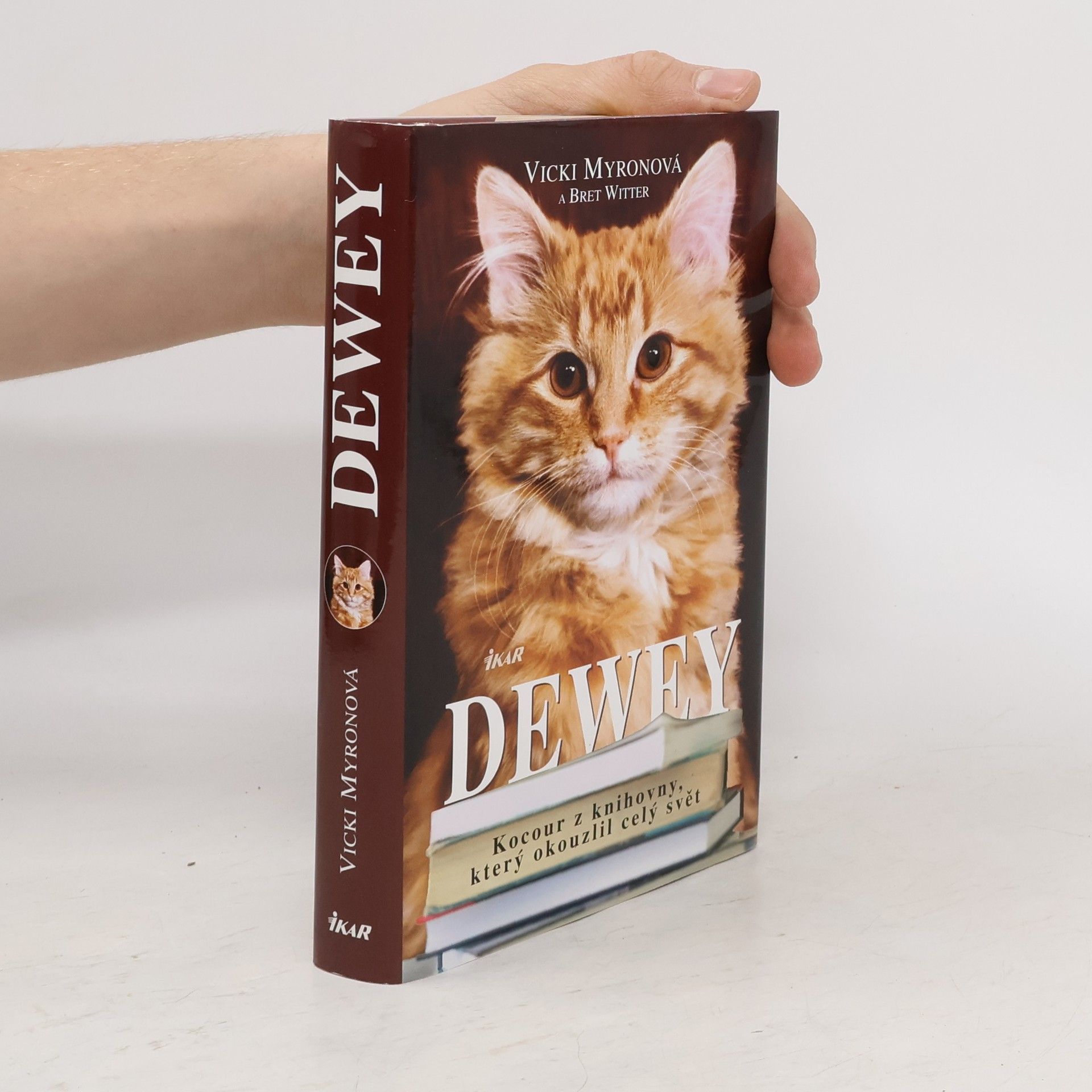 Vicki Myron Dewey. Kocour z knihovny, který okouzlil celý svět