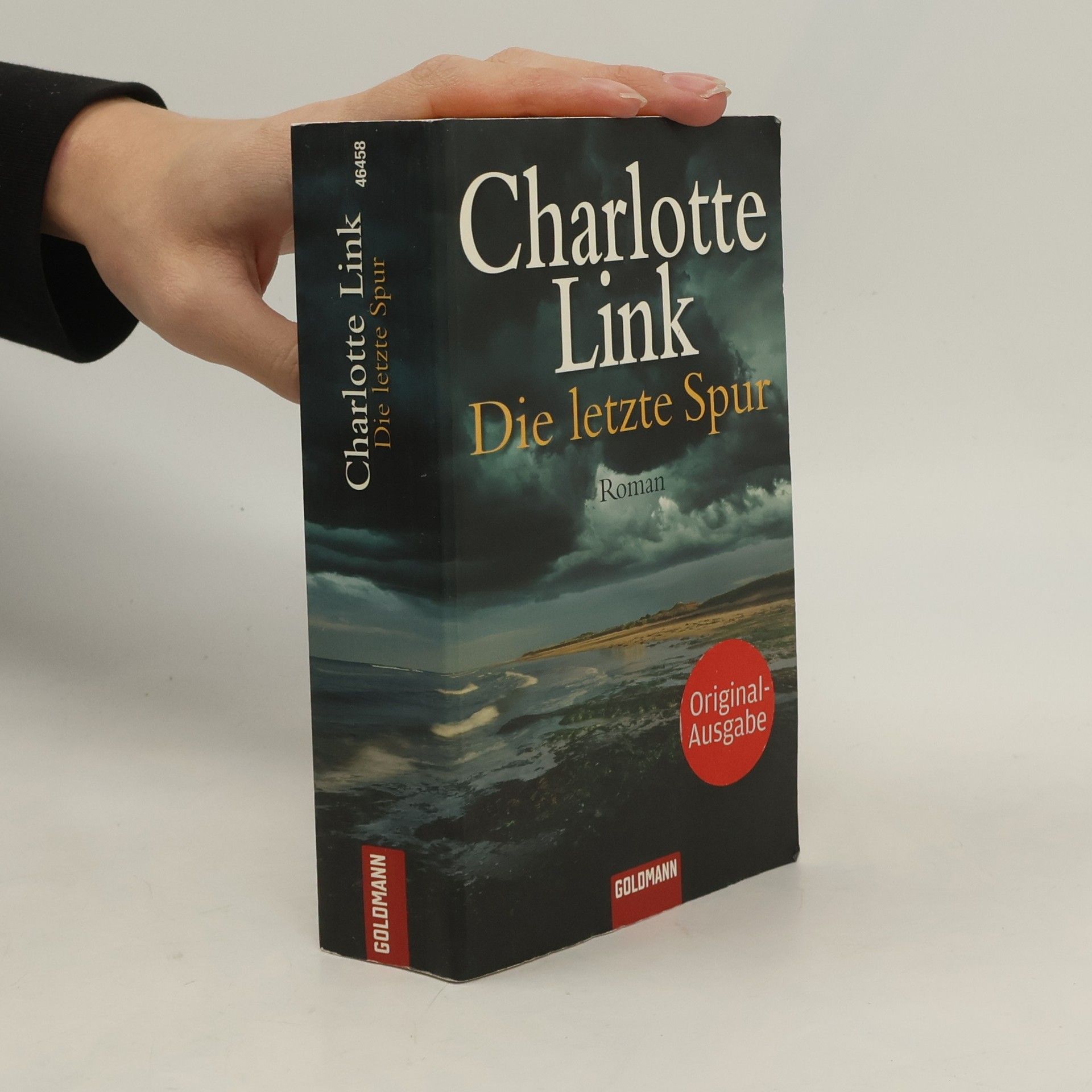 Charlotte Link Die letzte Spur