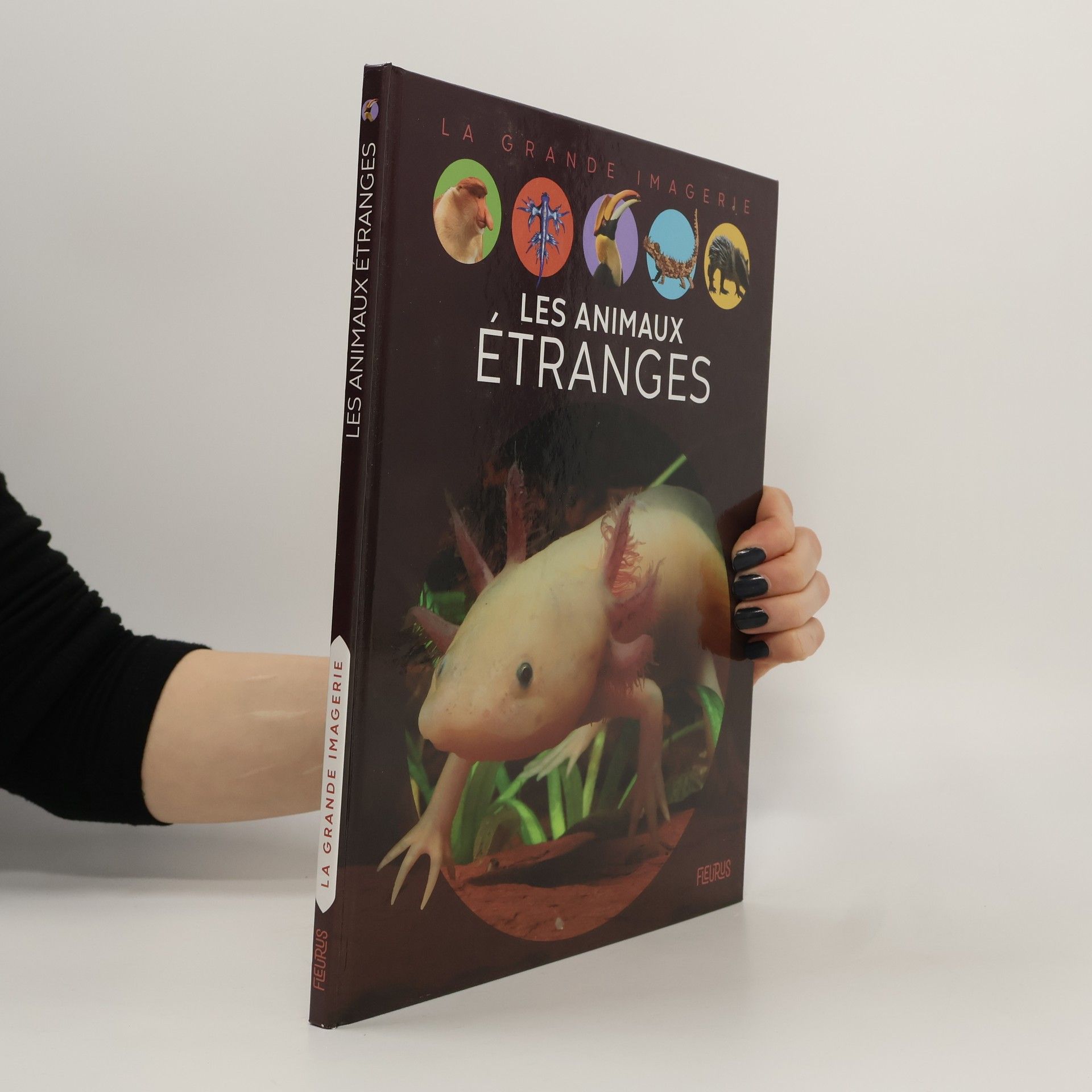 Elisabeth Dumont-Le Cornec Les animaux étranges