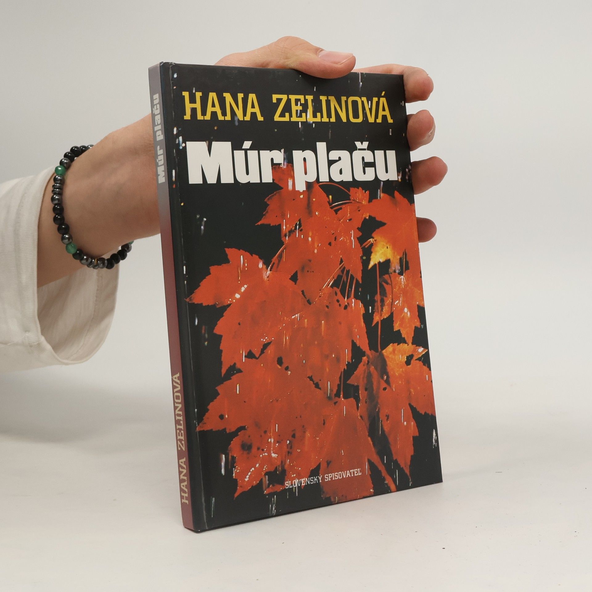 Hana Zelinová Múr plaču