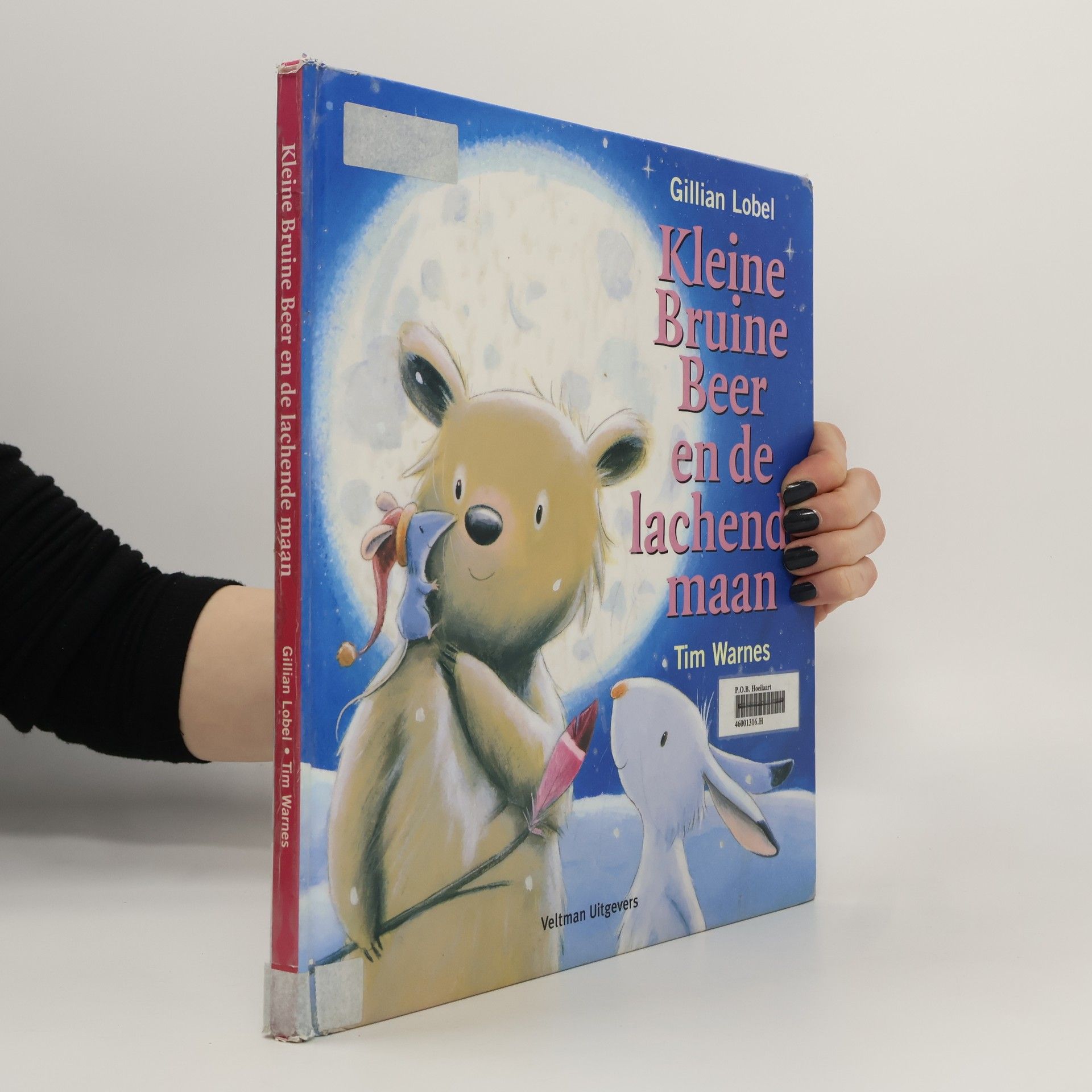 Gillian Lobel Kleine Bruine Beer en de lachende maan