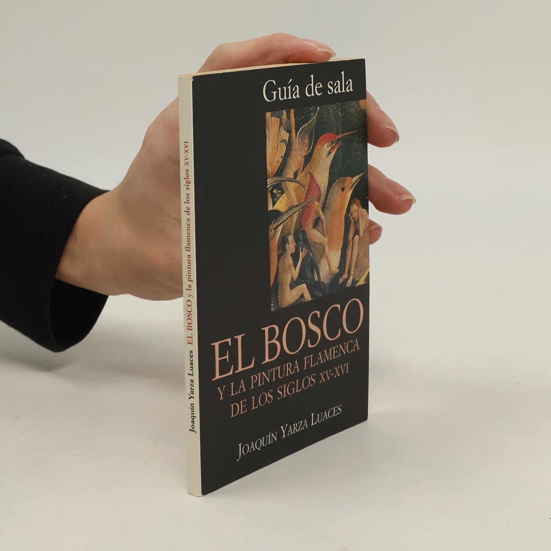 Kolektiv autorů El bosco y la pintura flamenca de los siglos XV y XVI