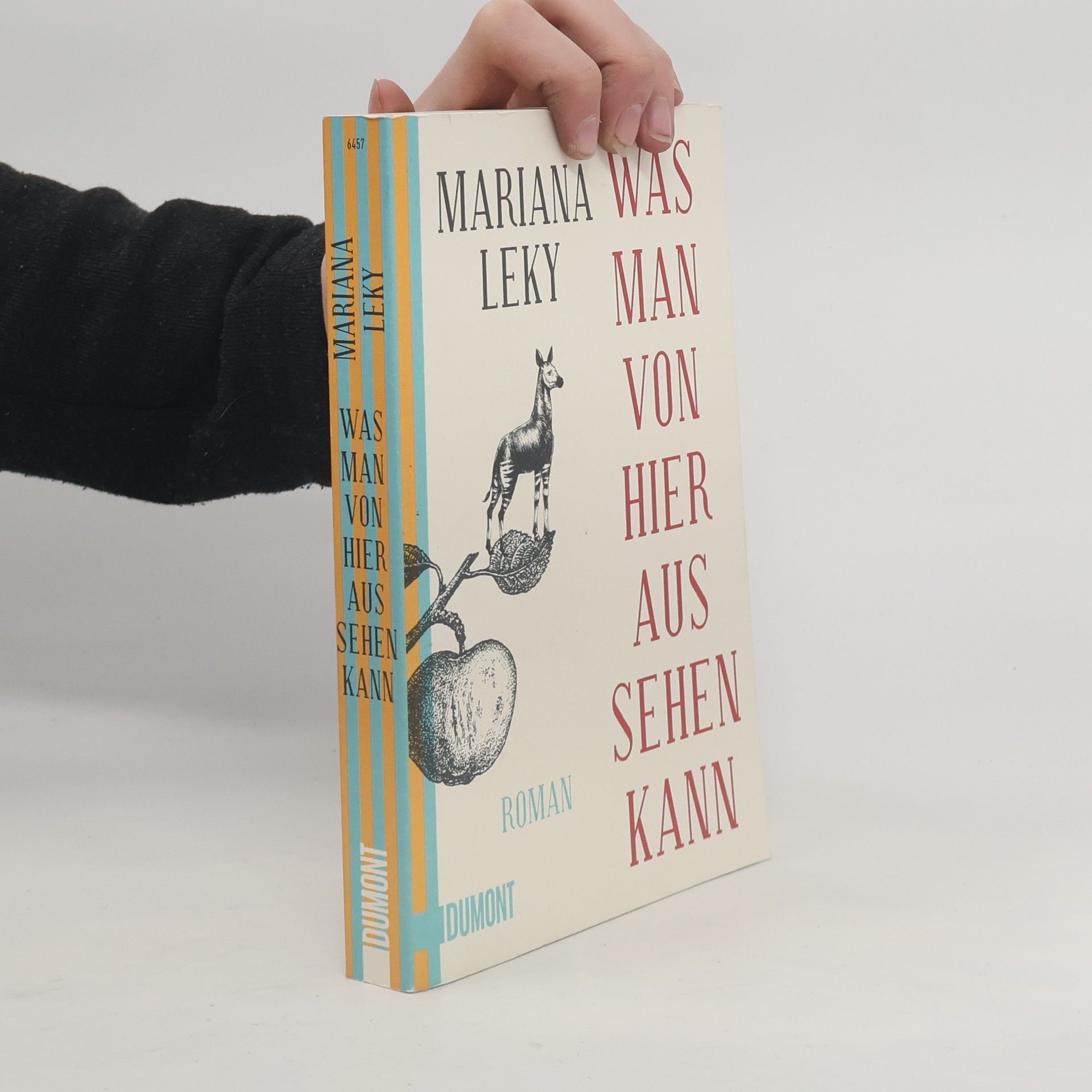 Mariana Leky Was man von hier aus sehen kann