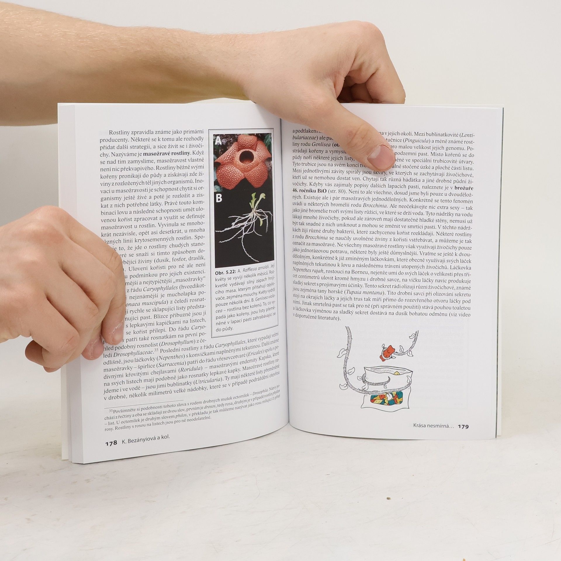 Various authors Krása nesmírná, aneb, Biodiverzita - rozmanitost života