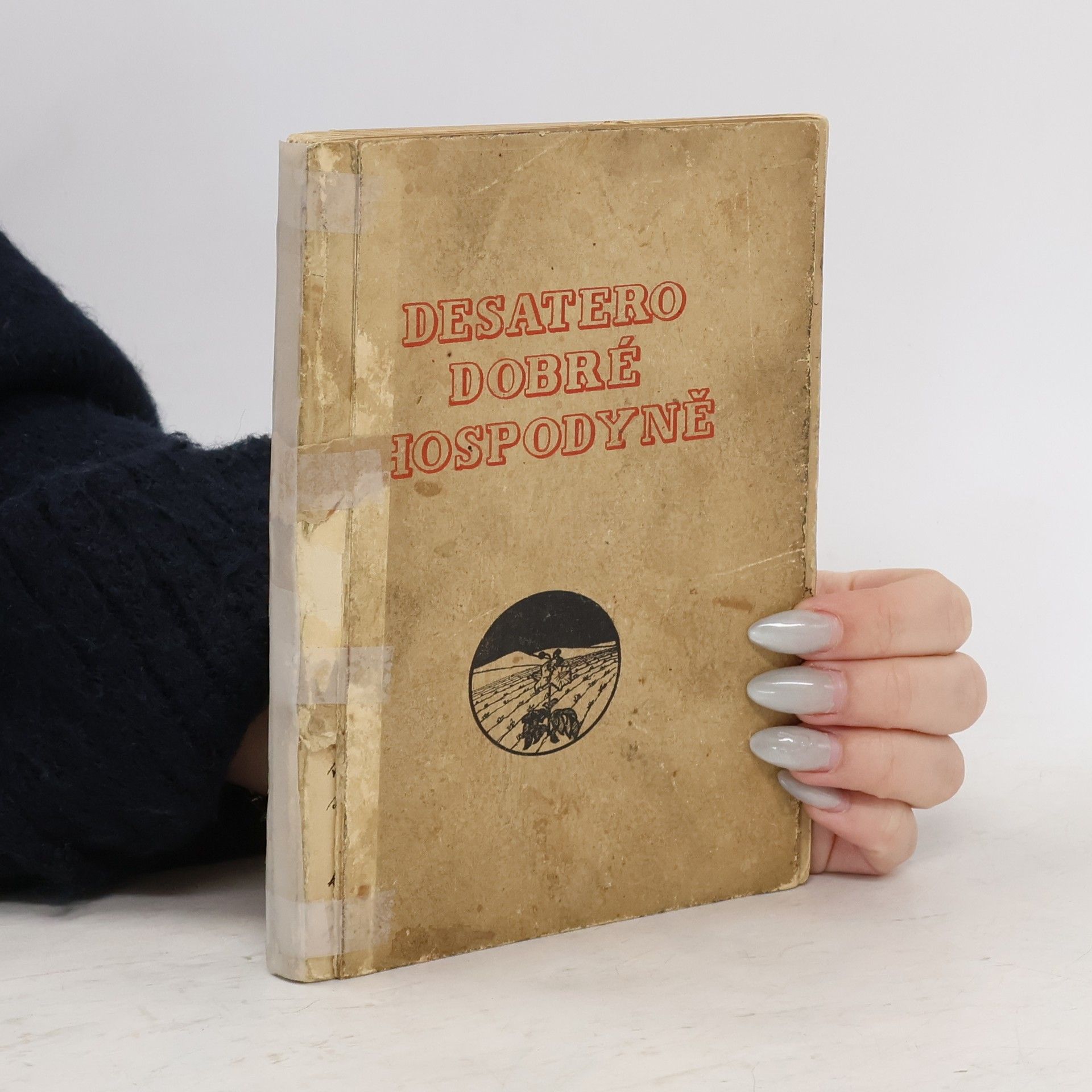 Autorenkollektiv Desatero dobré hospodyně