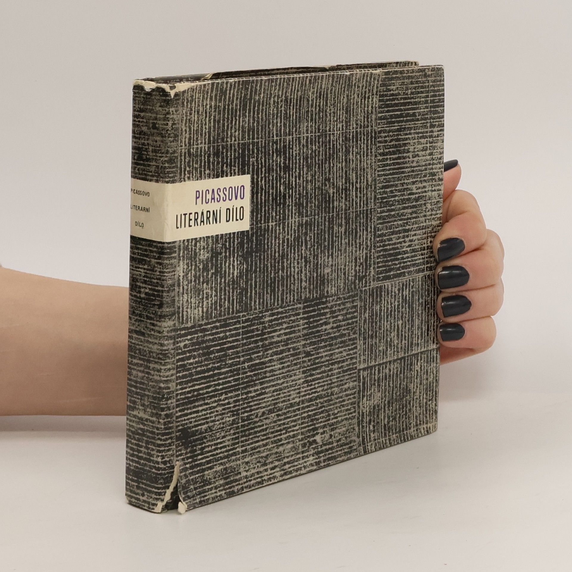 Mario De Micheli Picassovo literární dílo