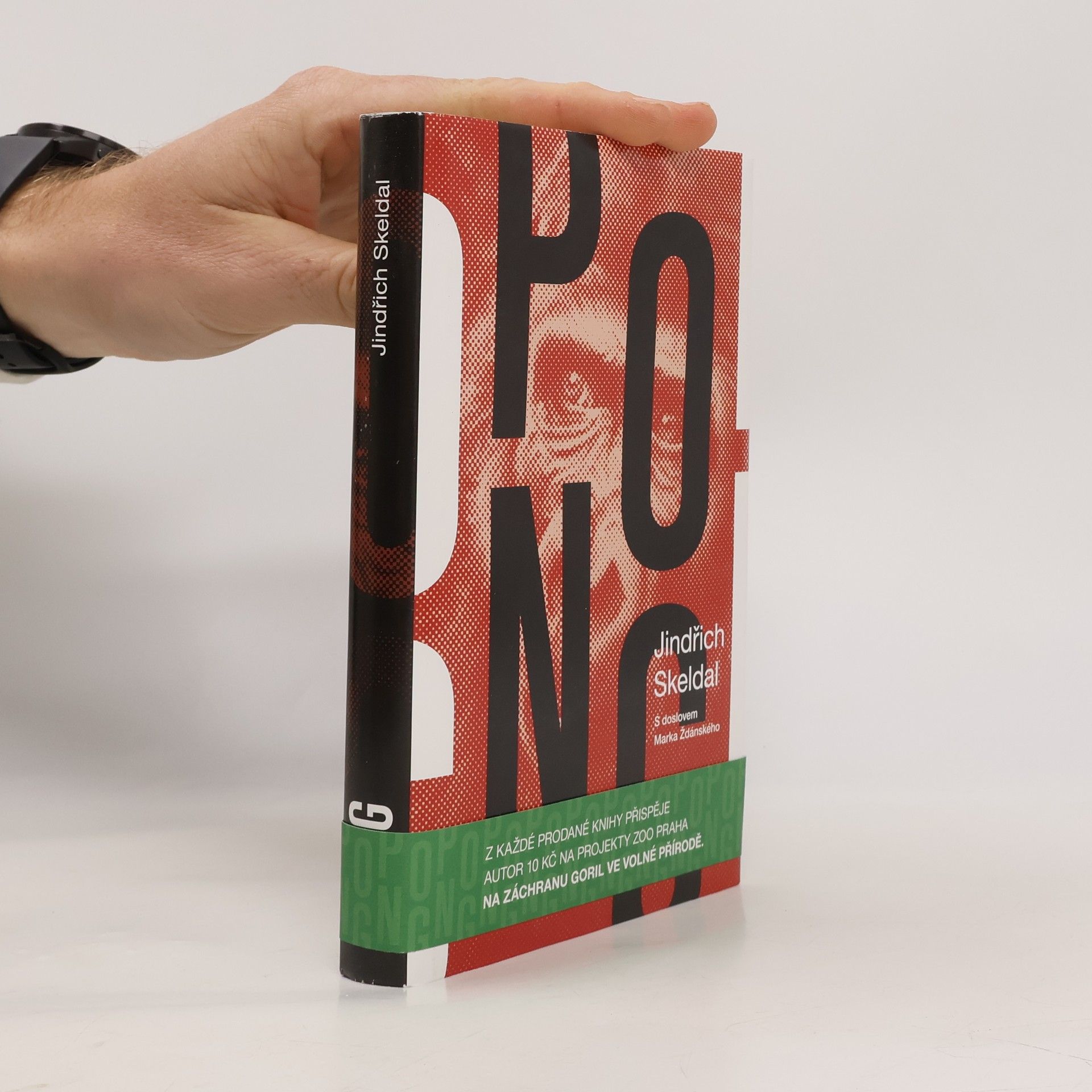 Jindřich Skeldal Pong