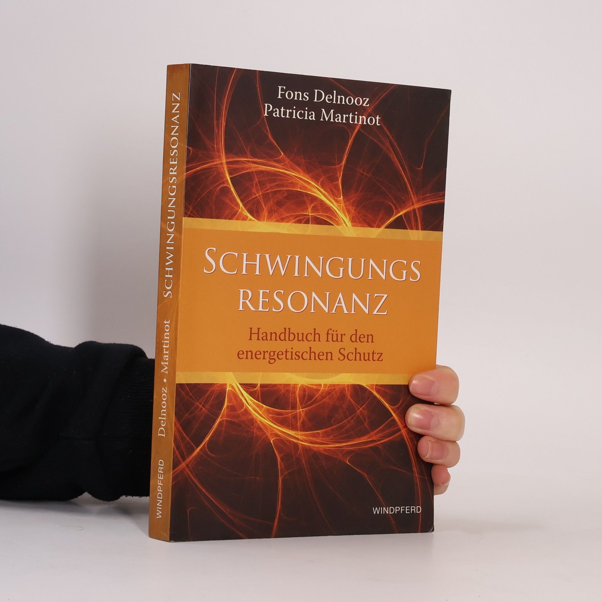 Fons Delnooz Schwingungsresonanz