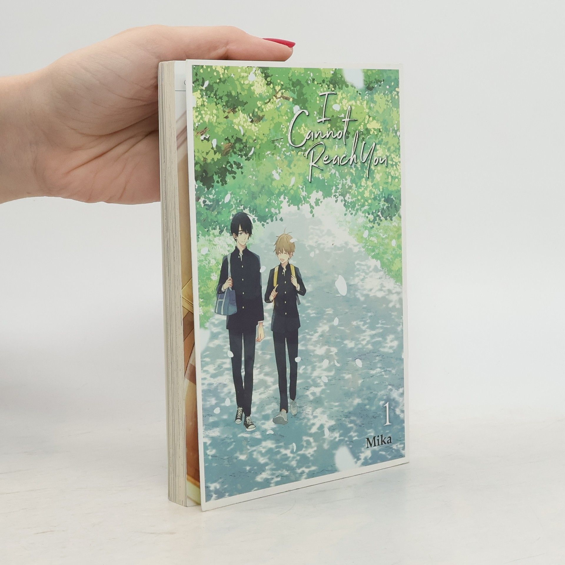 Jiří Mika I Cannot Reach You 1