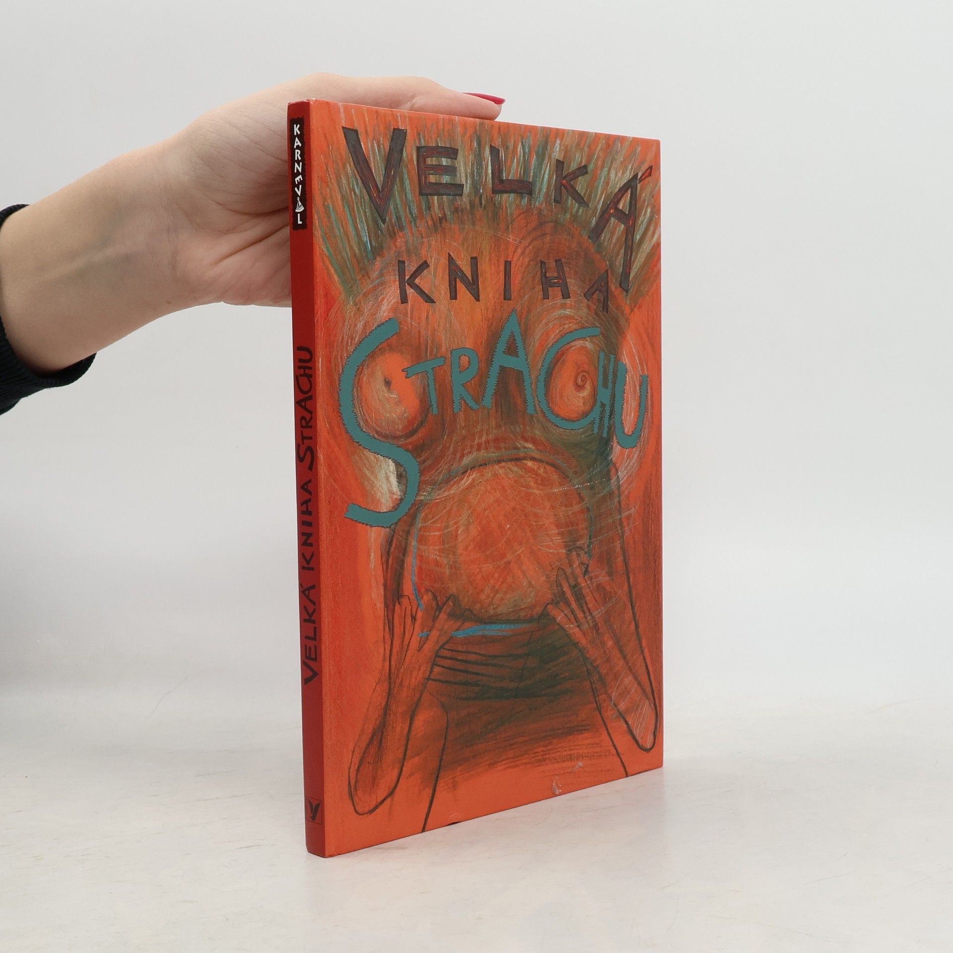 Veronika Bohatá Velká kniha strachu