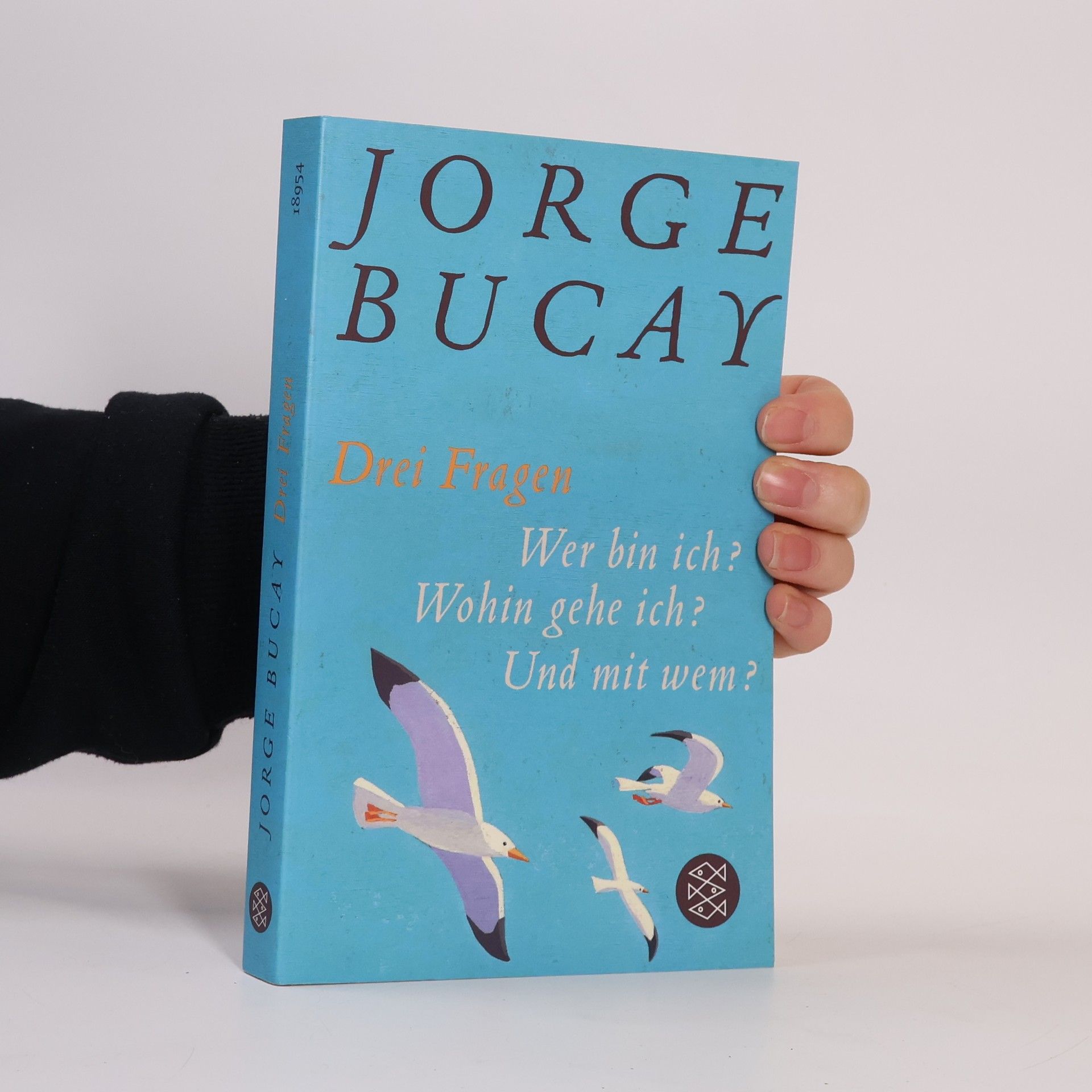 Jorge Bucay Drei Fragen