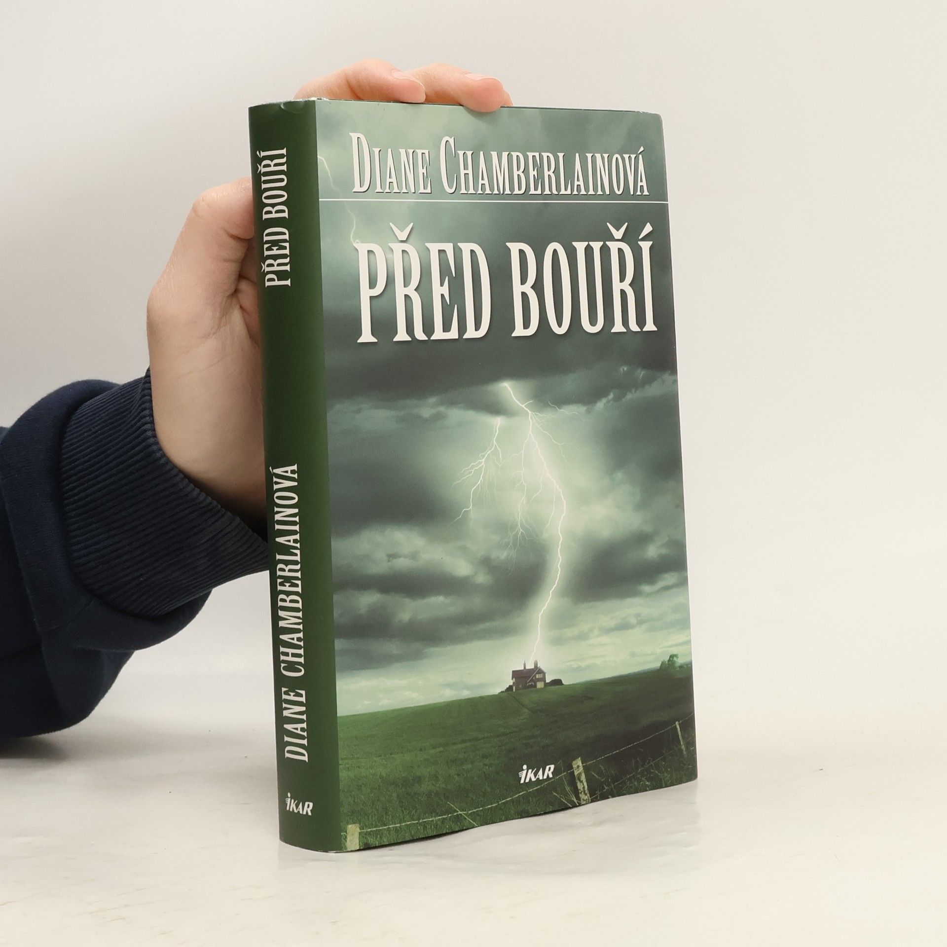 Diane Chamberlain Před bouří
