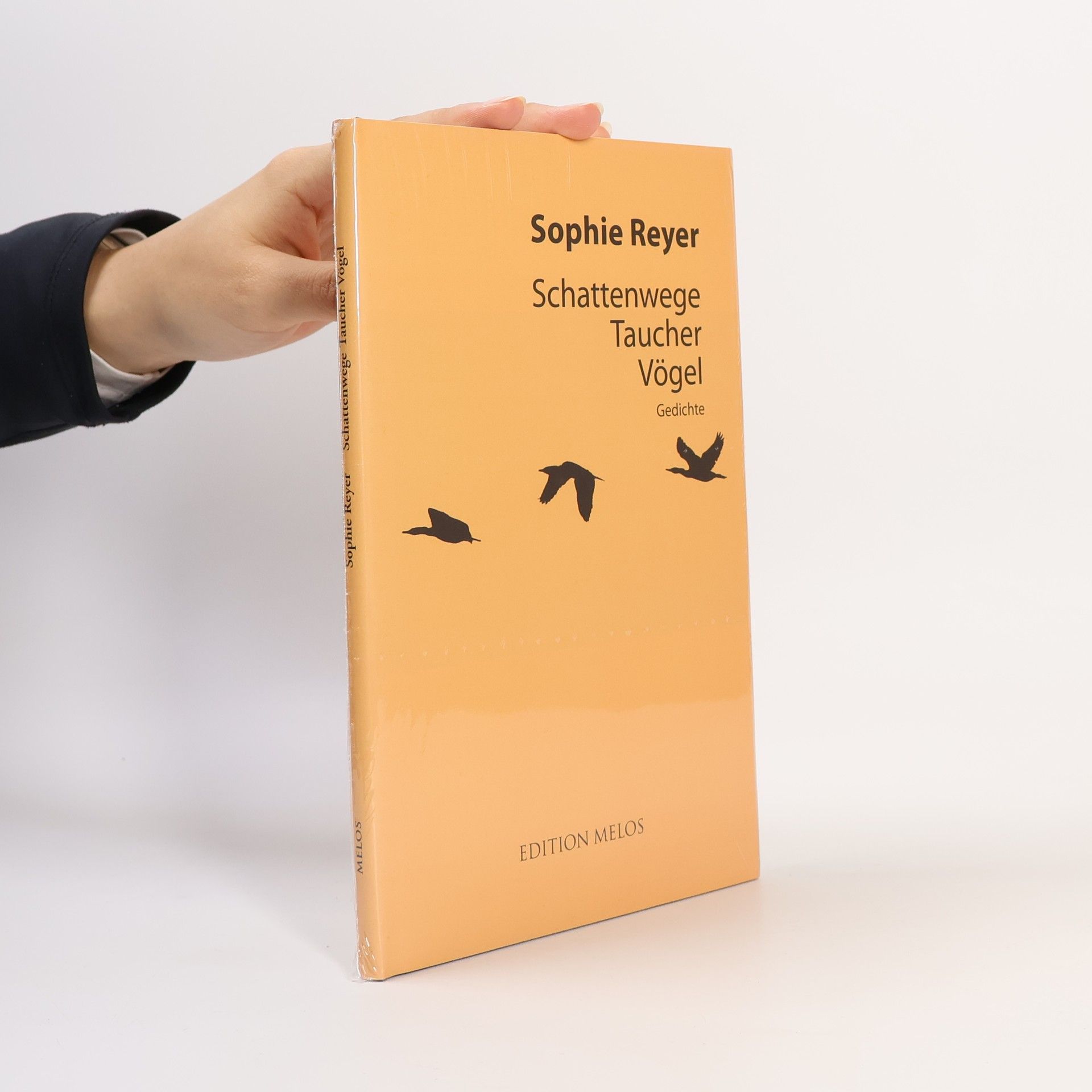 Sophie Reyer Schattenwege Taucher Vögel