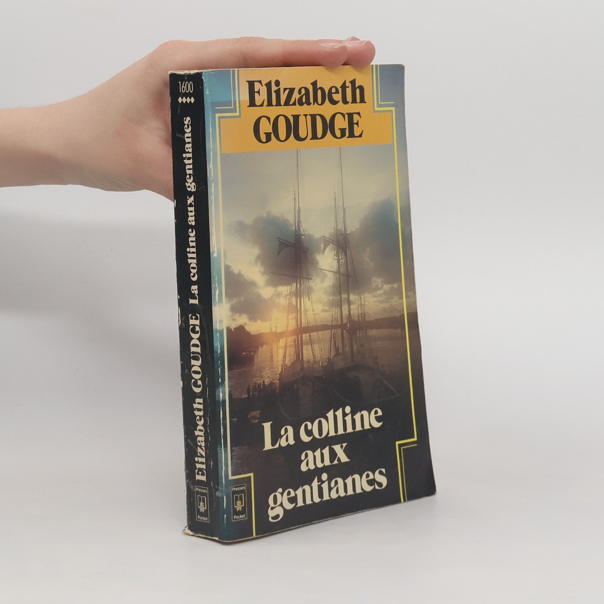 La colline aux gentianes