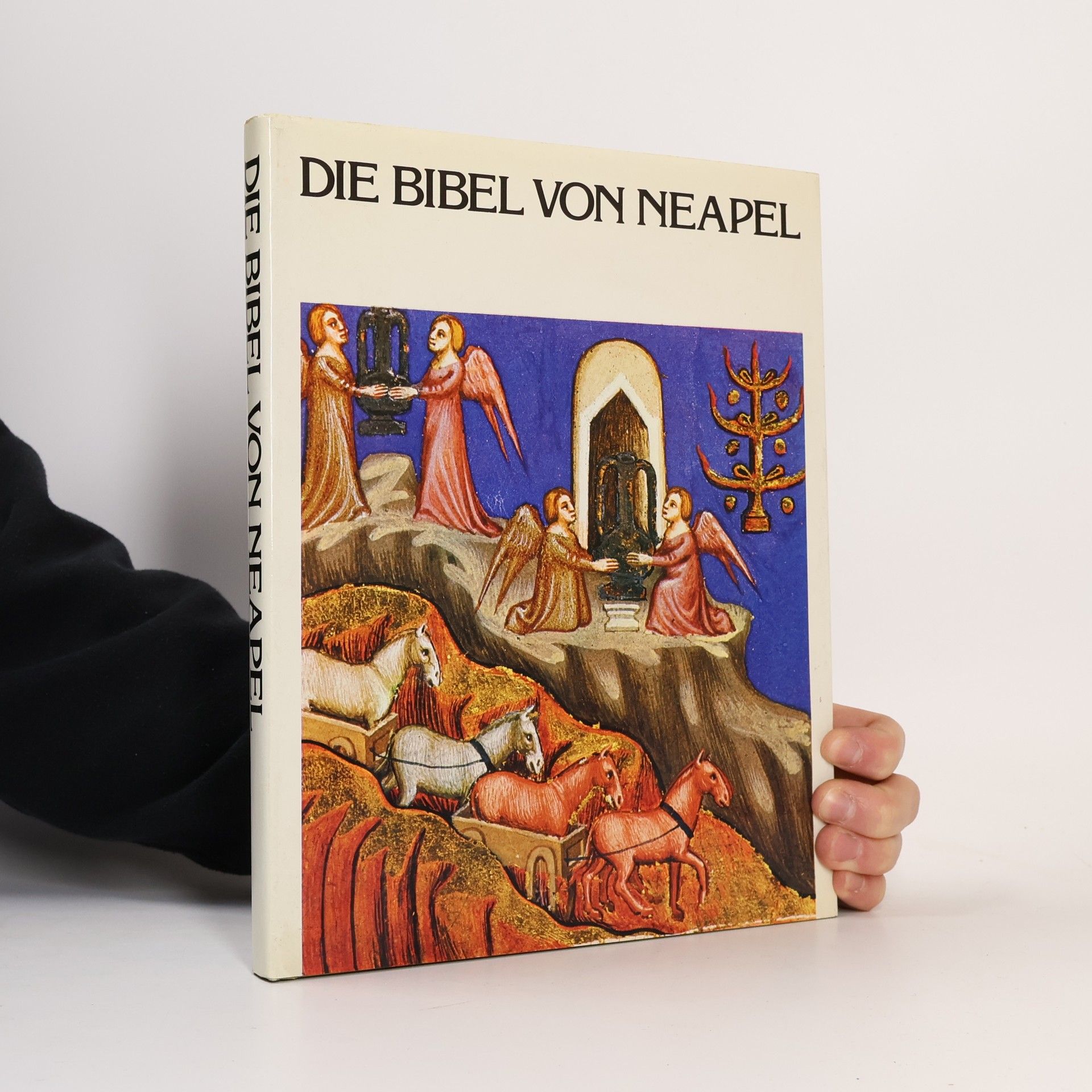 Collectif d'auteurs Die Bibel von Neapel