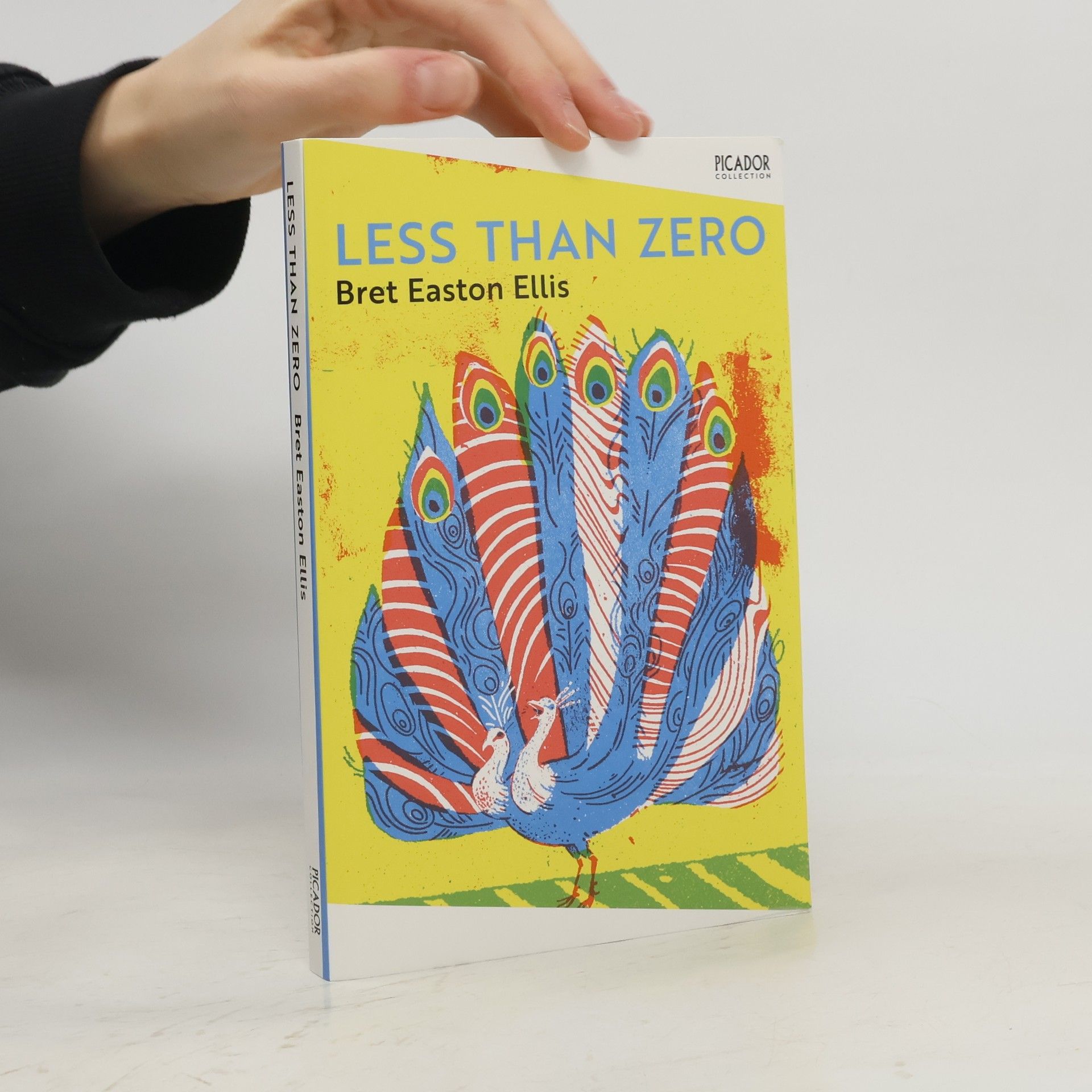 Bret Easton Ellis Less Than Zero