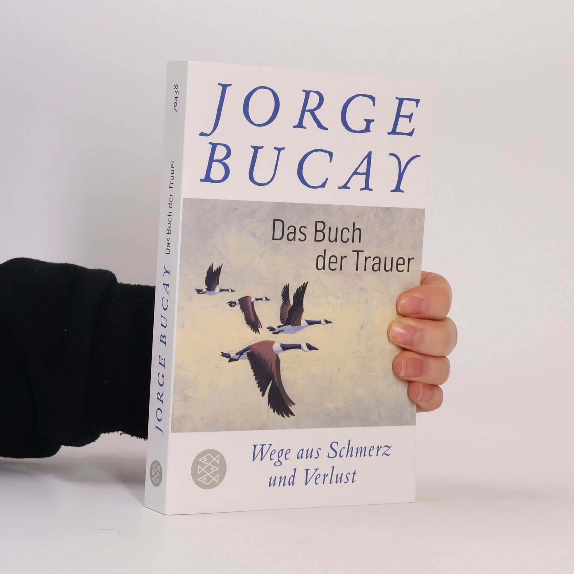 Jorge Bucay Das Buch der Trauer