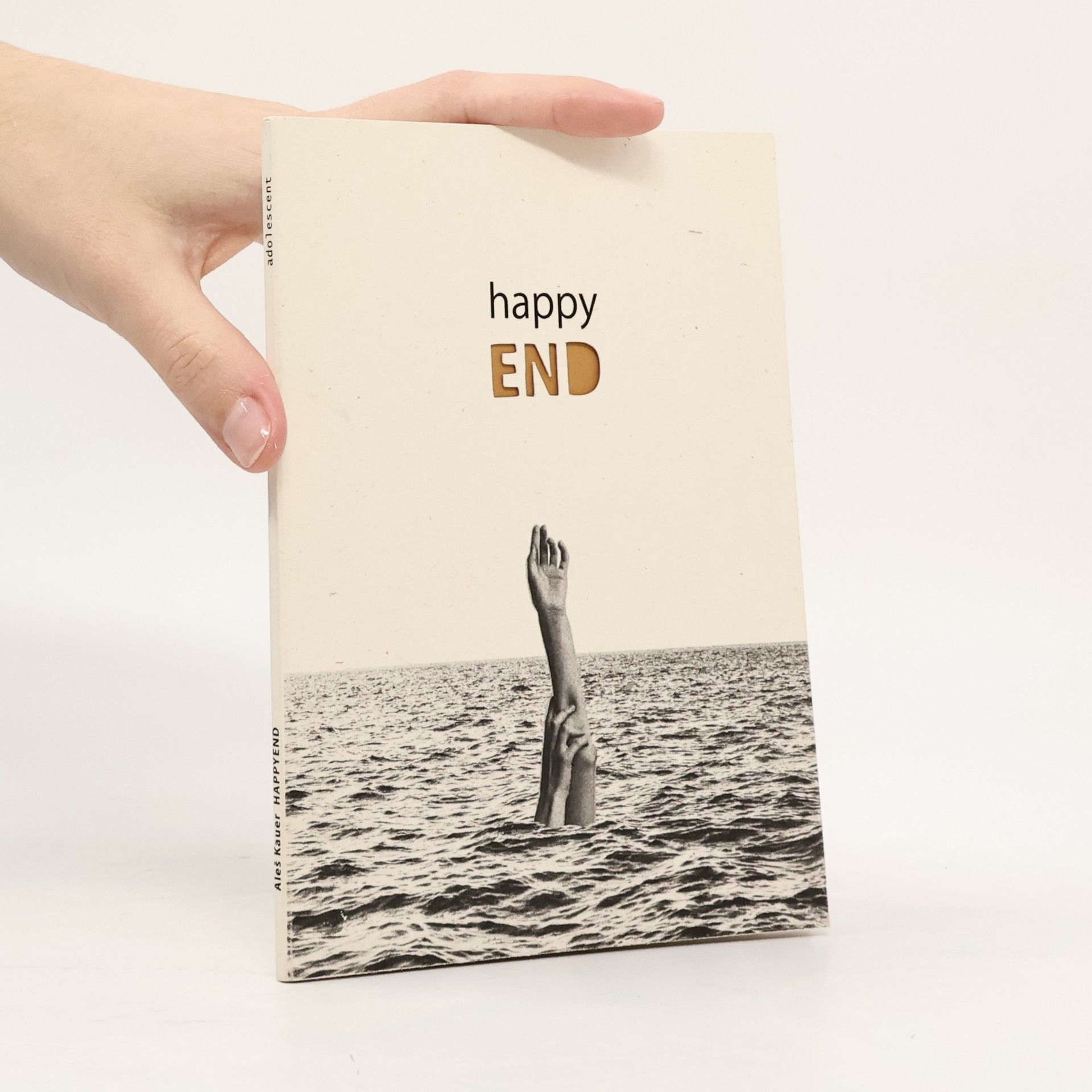 Aleš Kauer Happyend