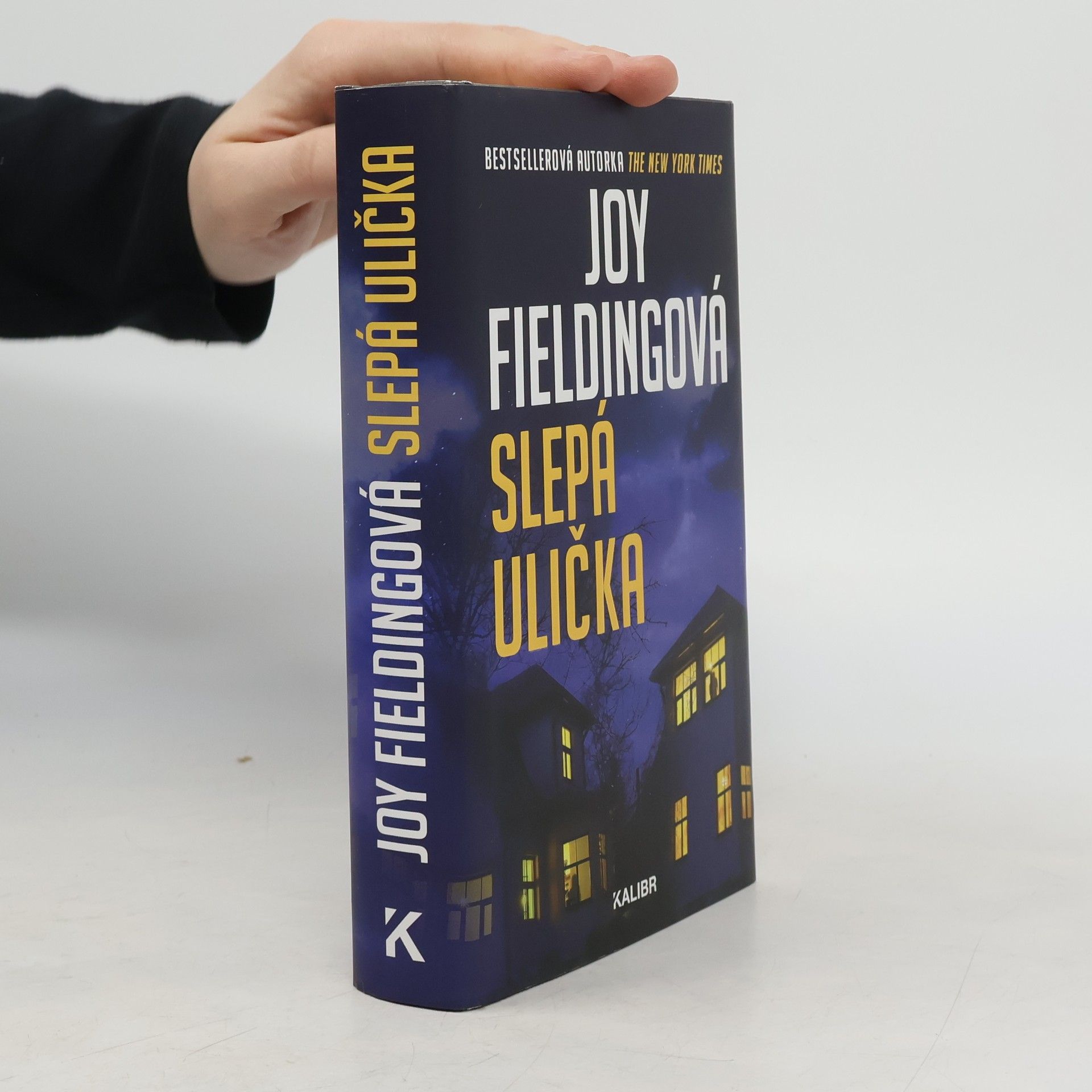 Joy Fielding Slepá ulička