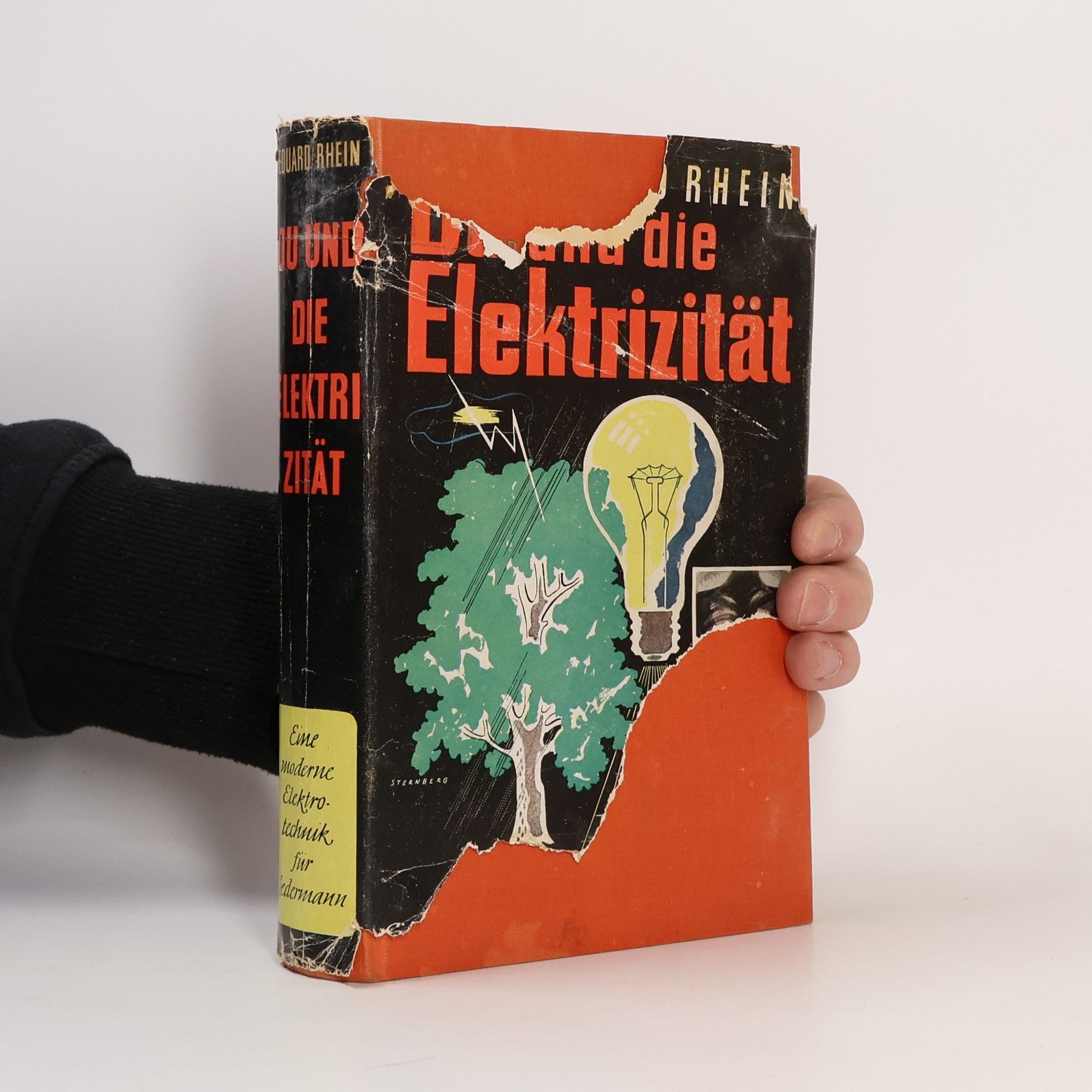 Eduard Rhein Du und die Elektrizität